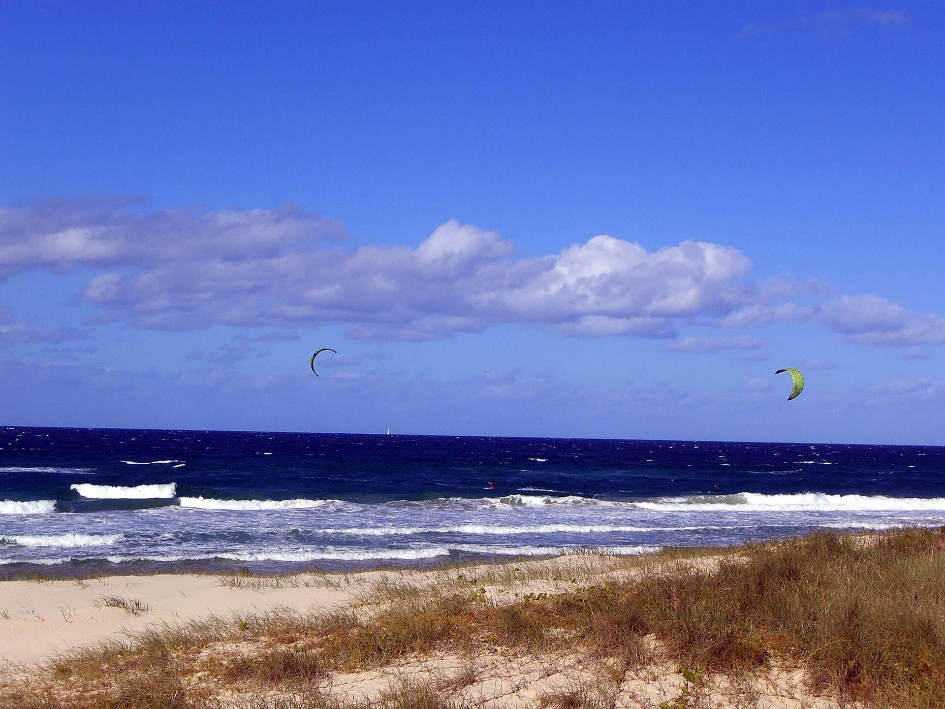 Things to Do in Main Beach, Gold Coast: The Local Guide
