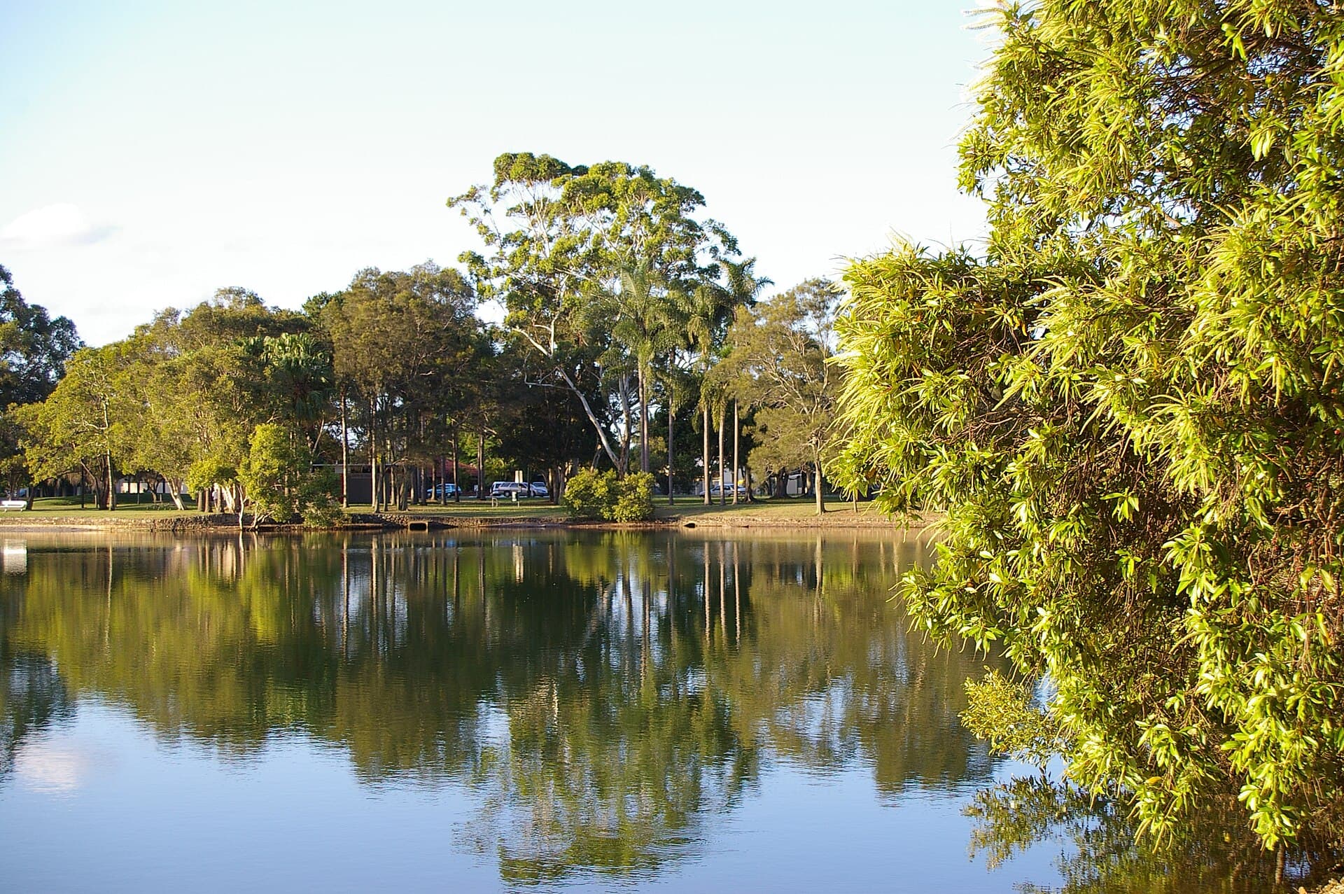 Things to Do in Palm Beach, Gold Coast: The Local Guide