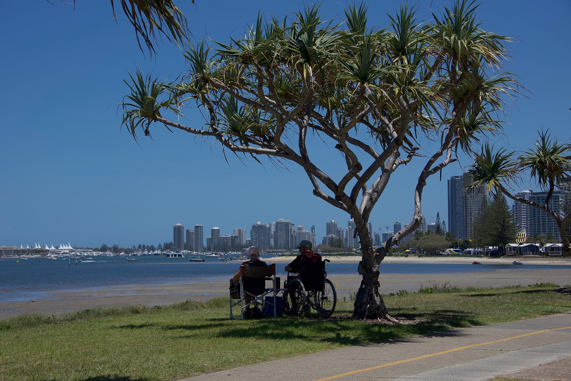 Things to Do in Southport, Gold Coast: The Local Guide
