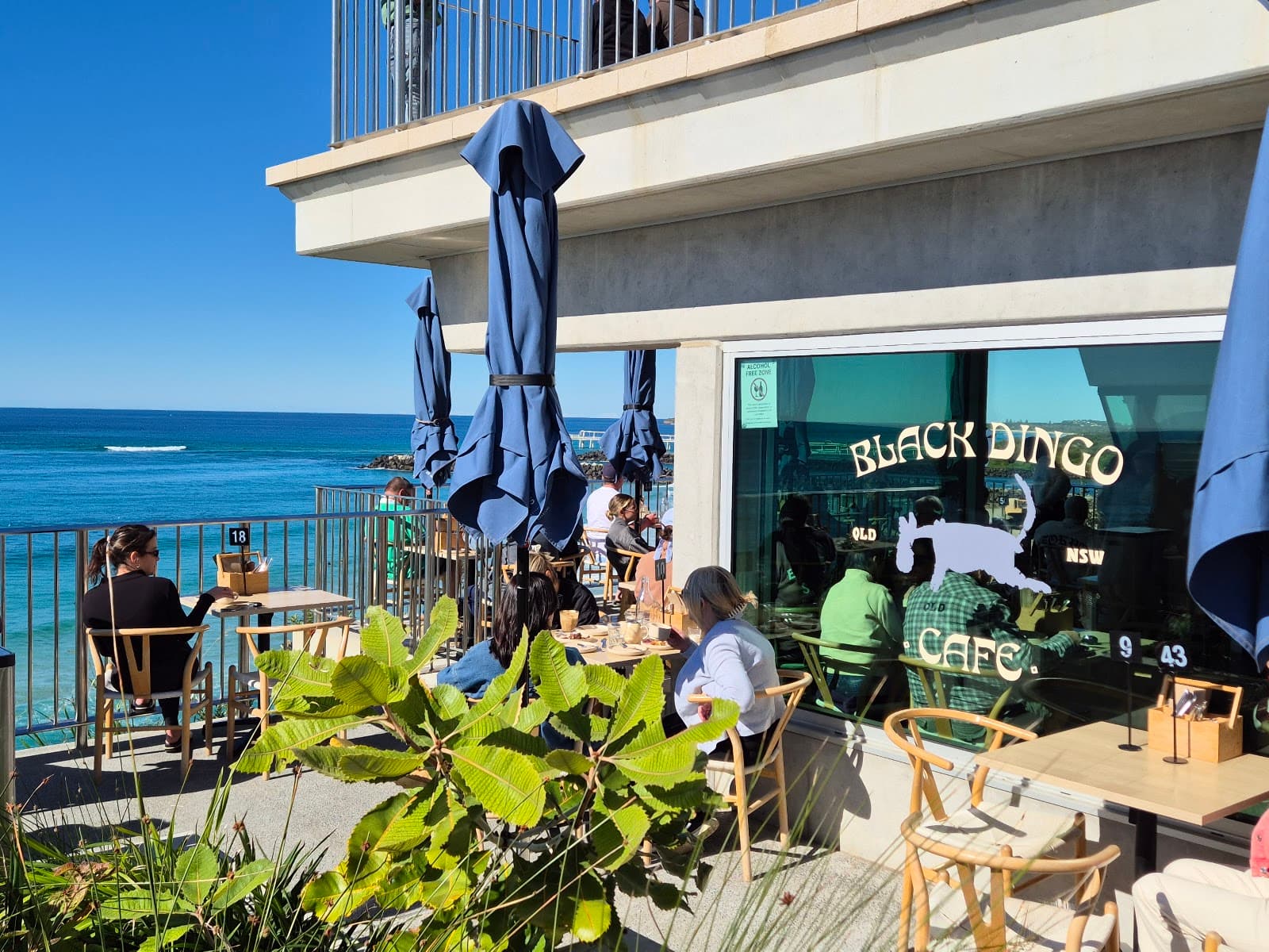 Black Dingo Cafe — Coolangatta, Gold Coast