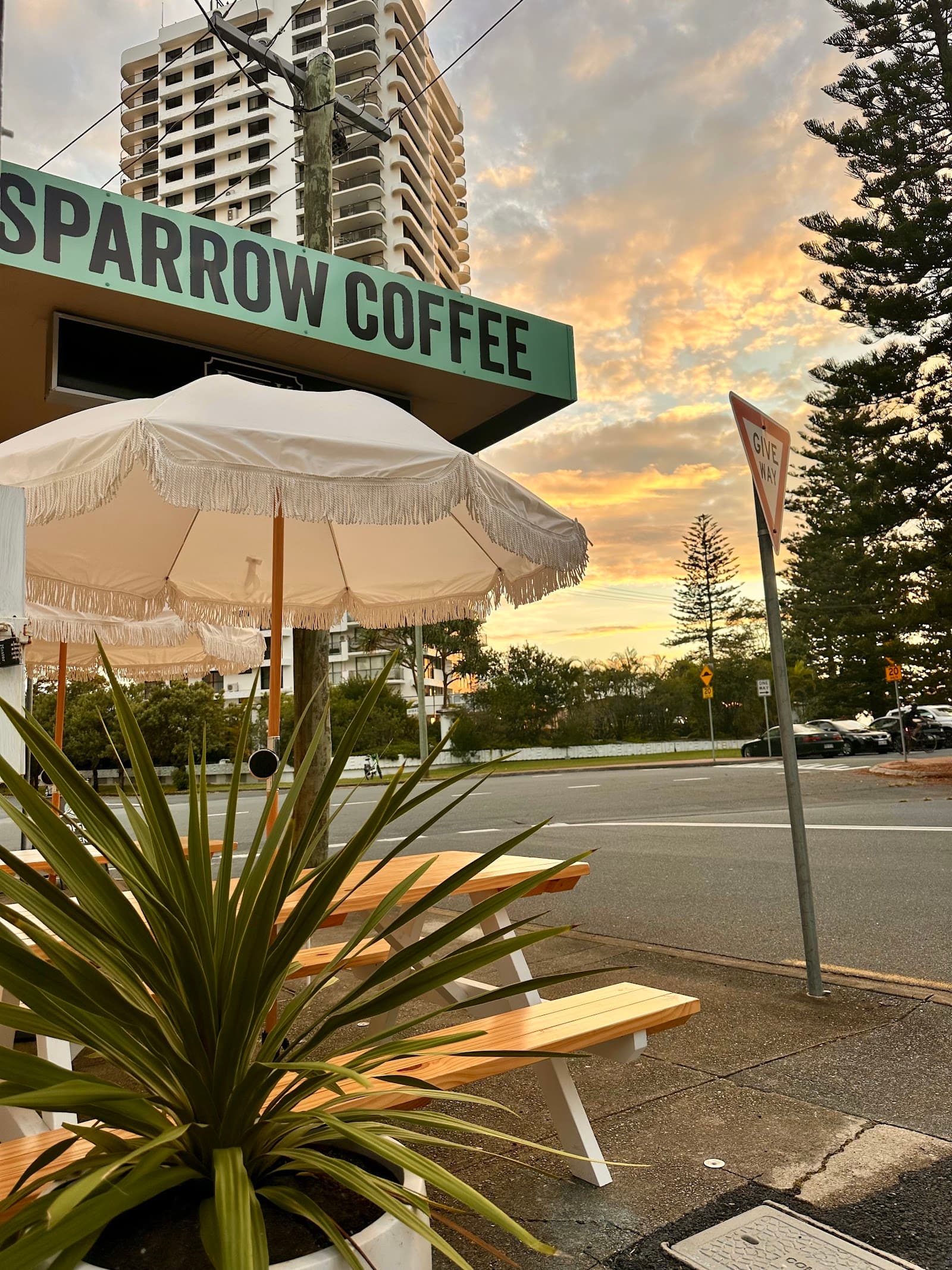 Sparrow Coffee - Main Beach — Main Beach, Gold Coast