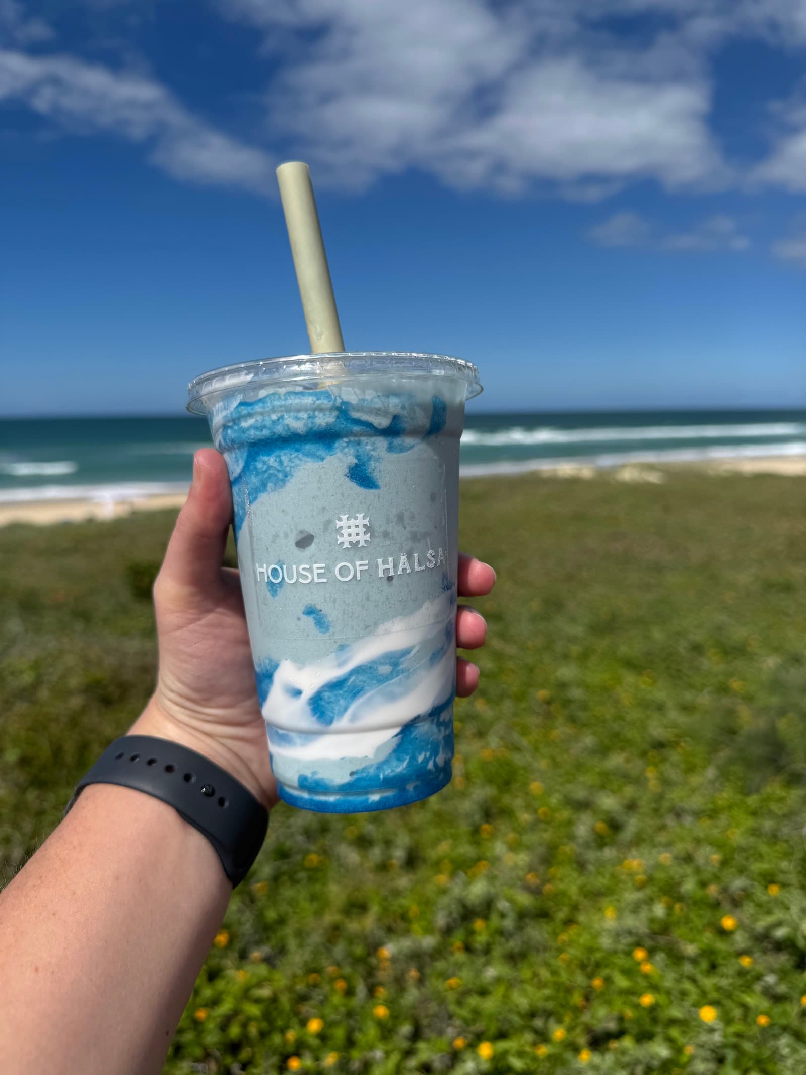 House of Halsa — Mermaid Beach, Gold Coast