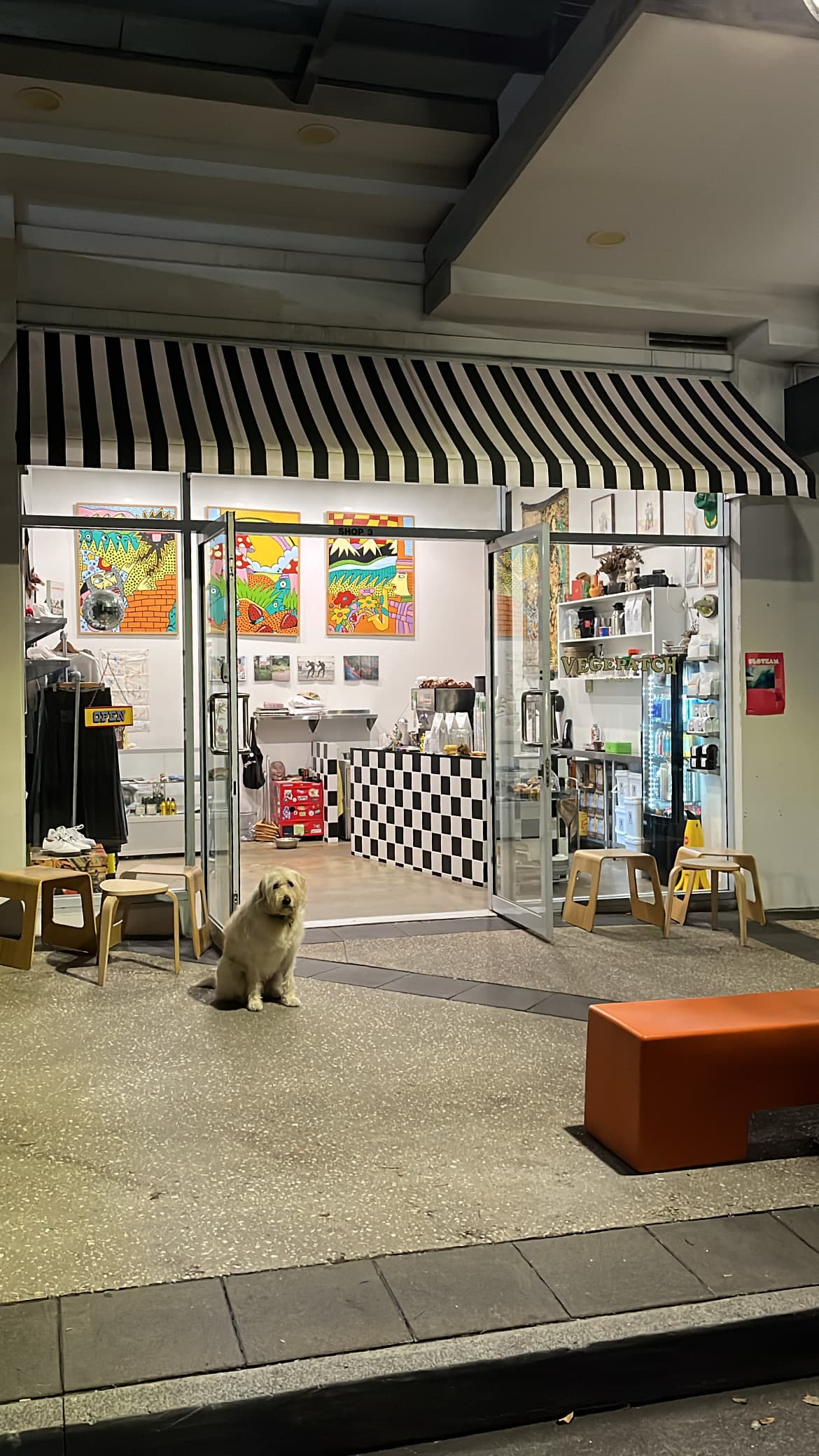Vegepatch Studios — Palm Beach, Gold Coast