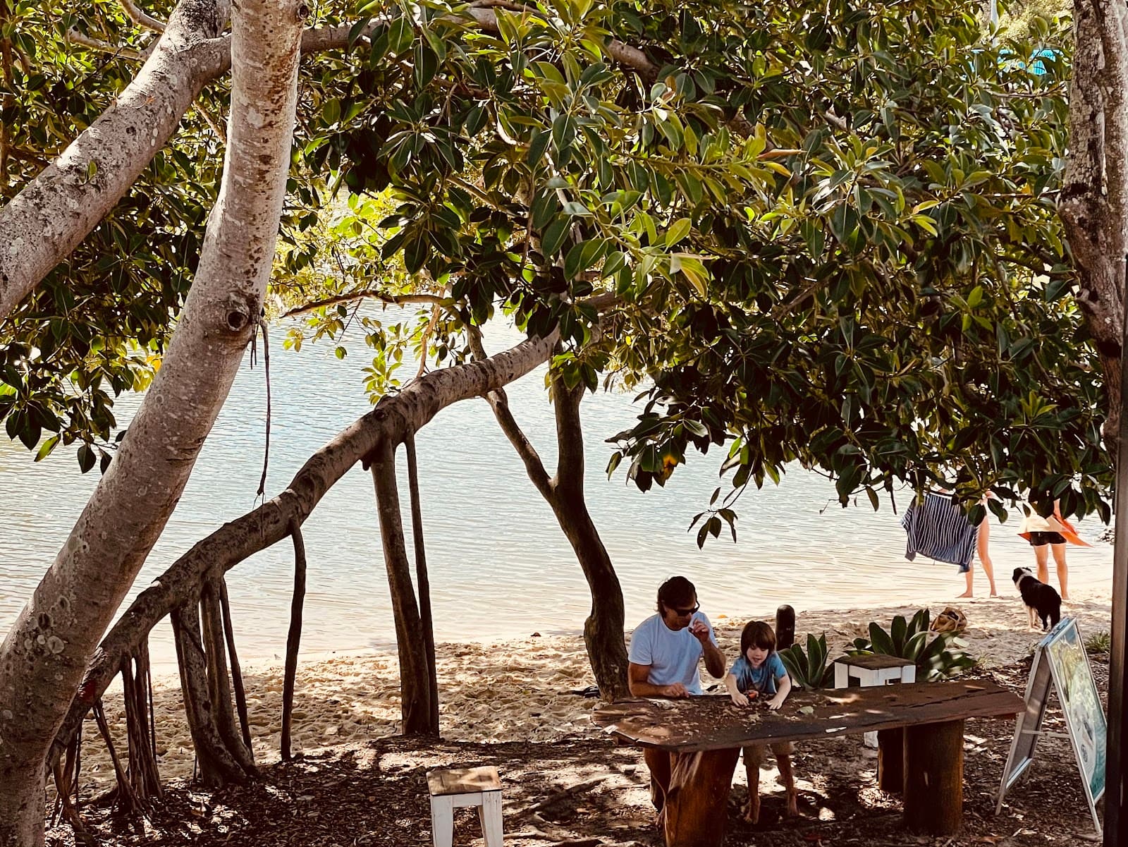 Cafe by the Bridge — Currumbin, Gold Coast