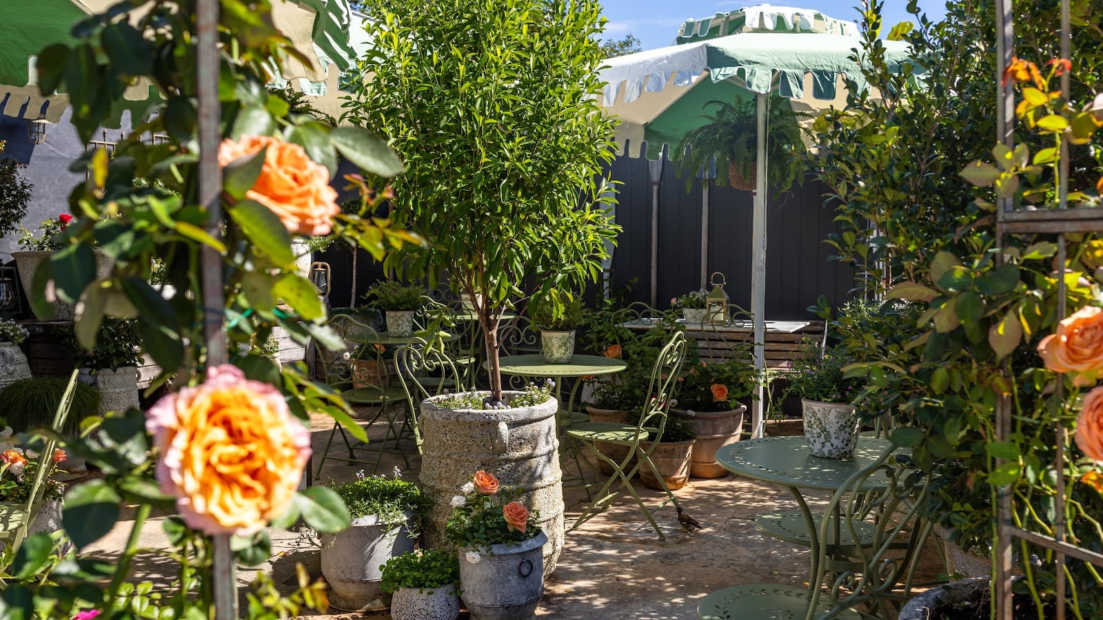 Tarte Tea Garden — Currumbin, Gold Coast