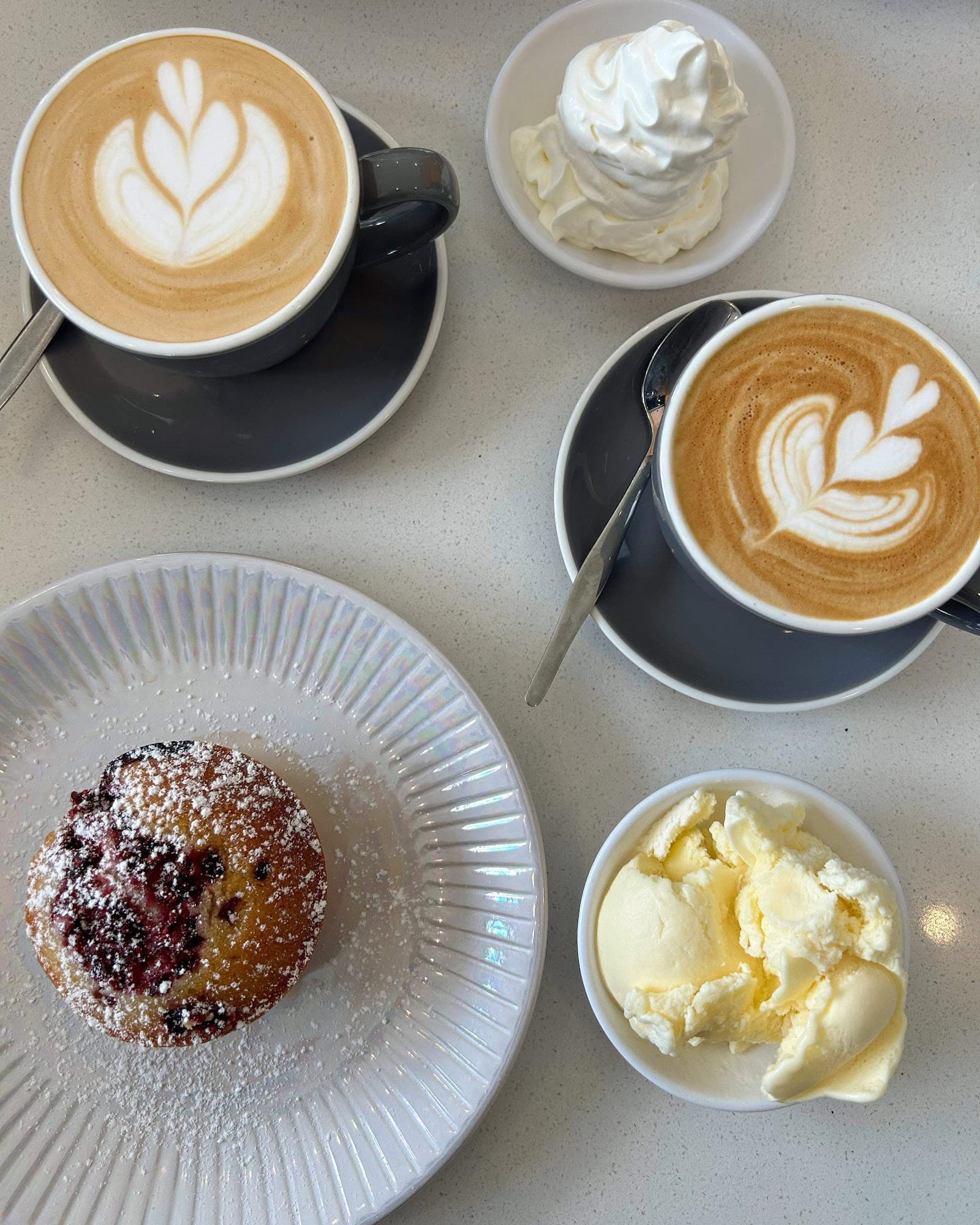 Euphoria Espresso (Scottsdale Drive) Robina — Robina, Gold Coast