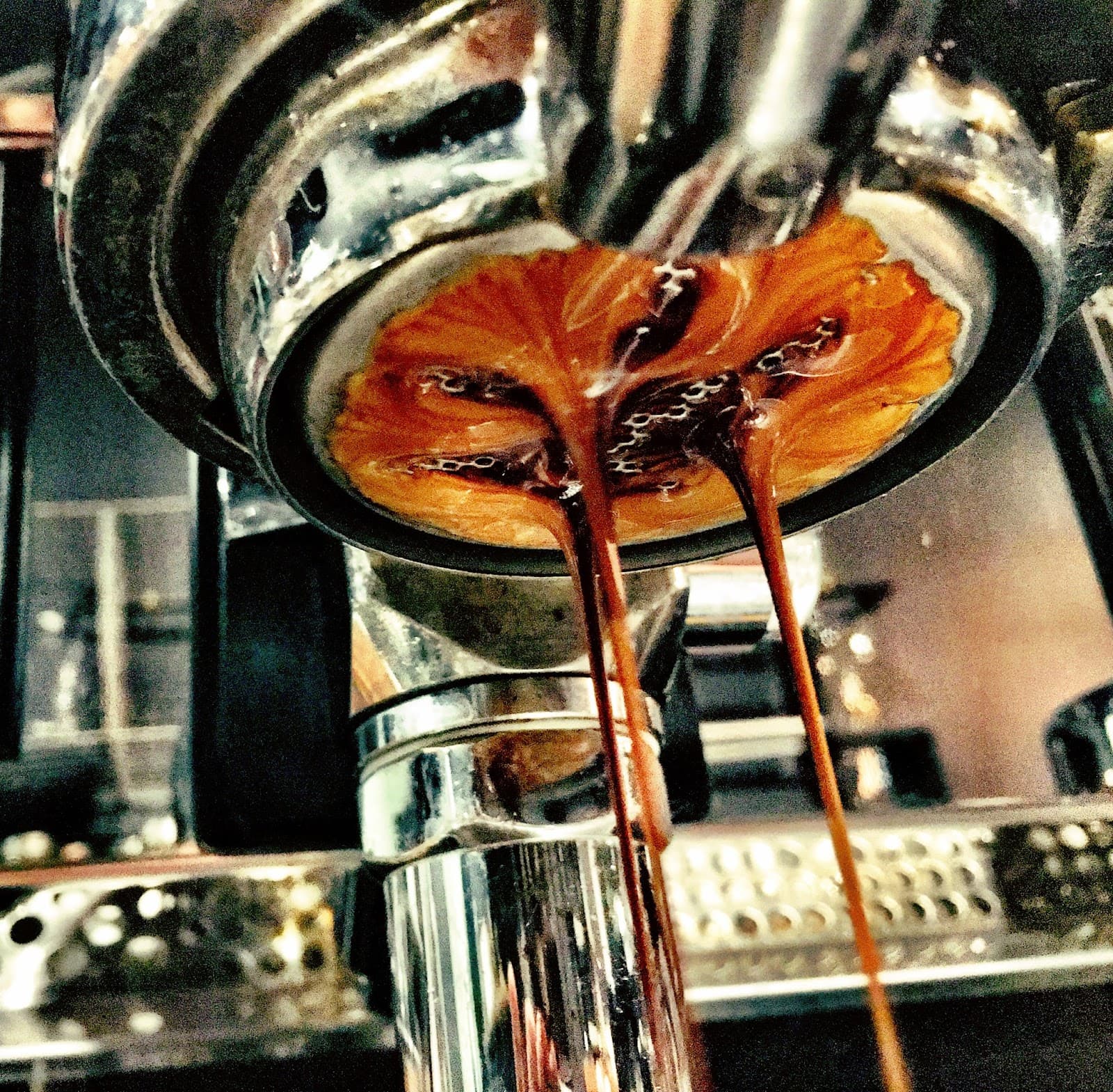 Hide N Seek Espresso — Miami, Gold Coast