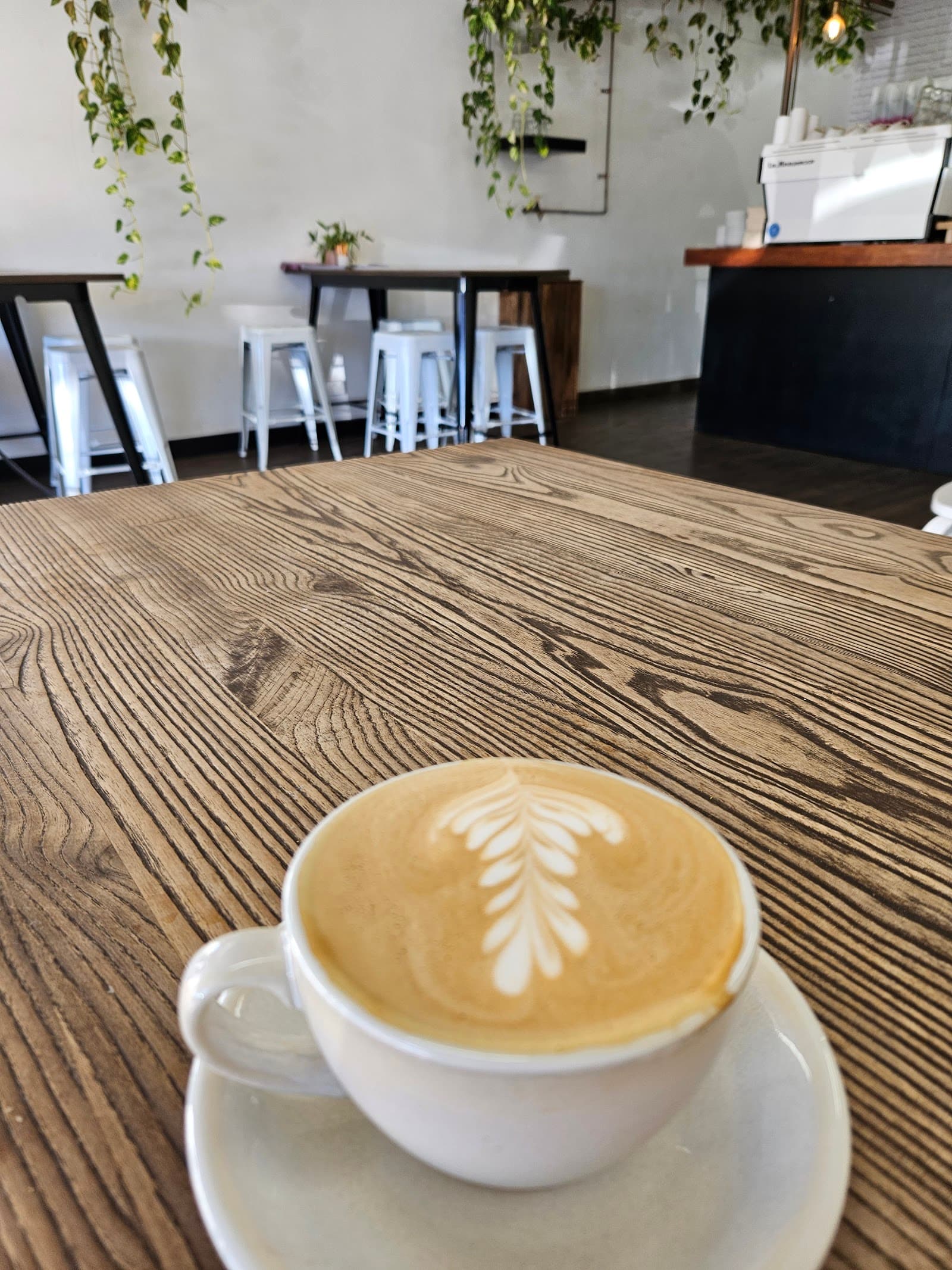 Quade — Miami, Gold Coast
