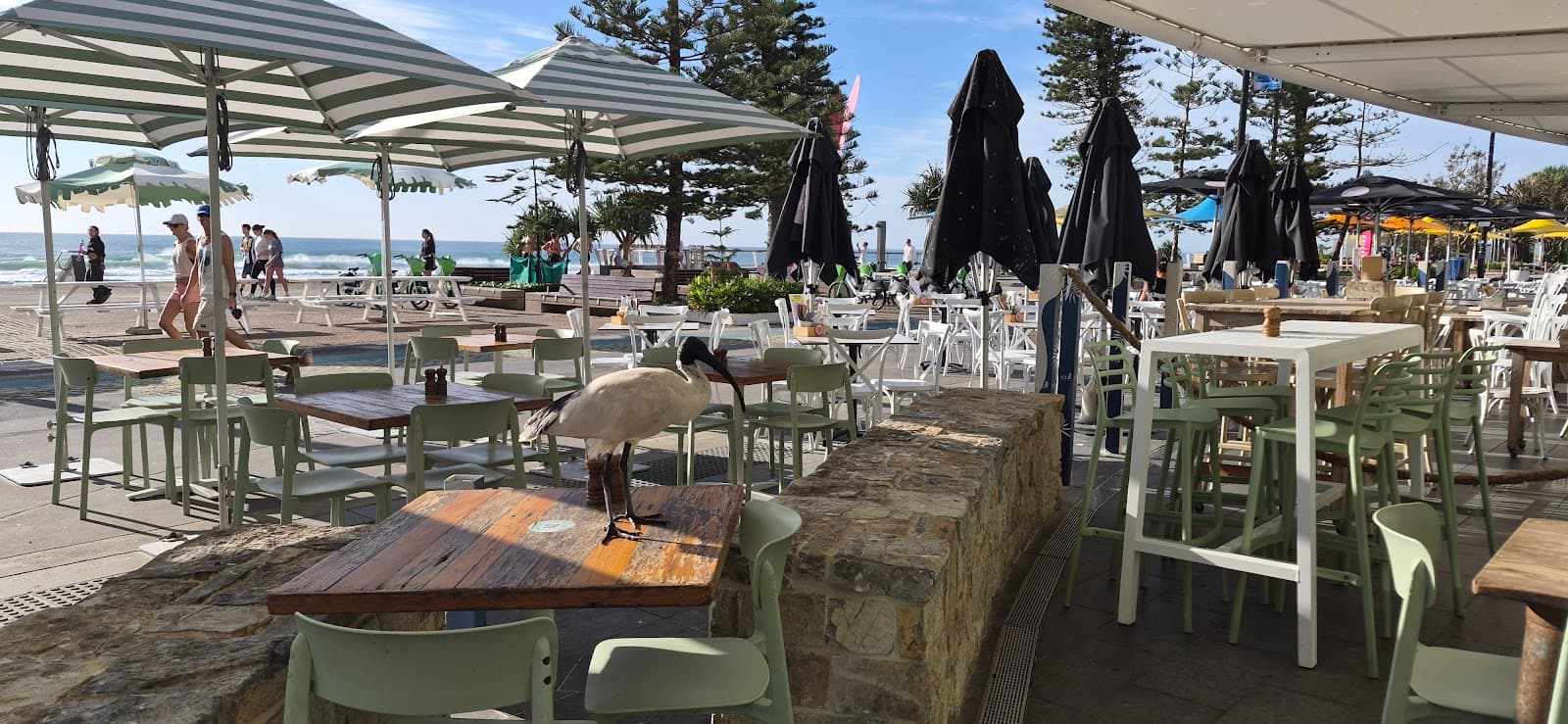 Alma Surfers Paradise — Surfers Paradise, Gold Coast