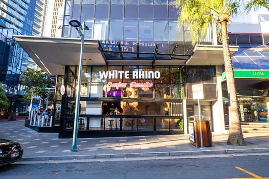 White Rhino Bar & Eats — Surfers Paradise, Gold Coast