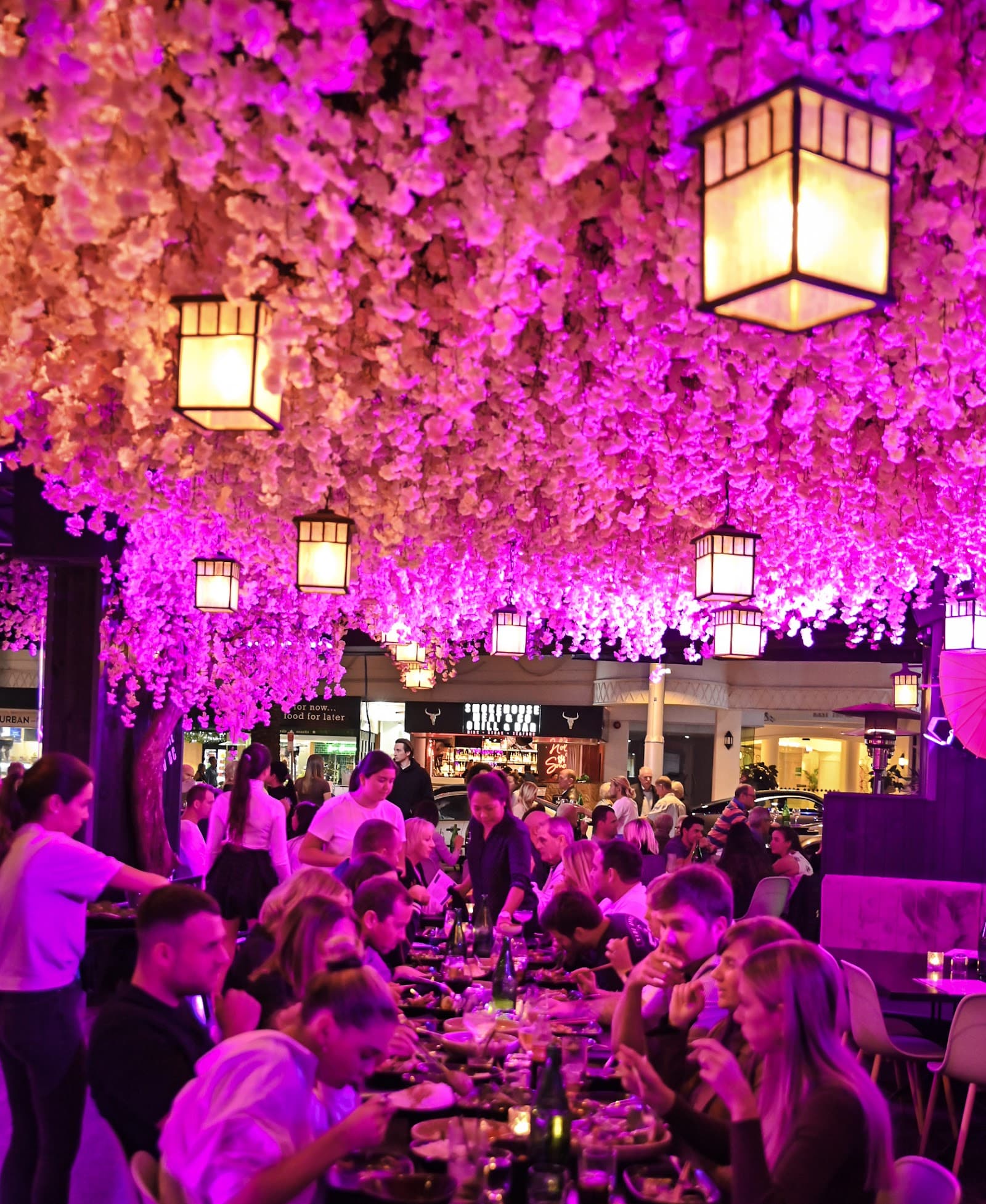 Maggie Choo — Broadbeach, Gold Coast