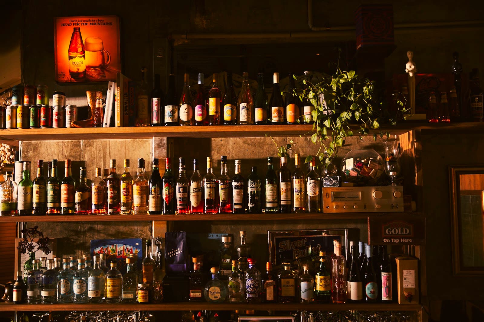 Bar Evelyn — Coolangatta, Gold Coast