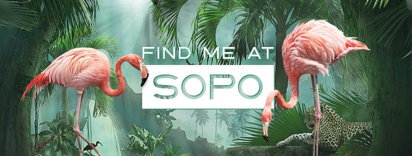SOPO — Hope Island, Gold Coast