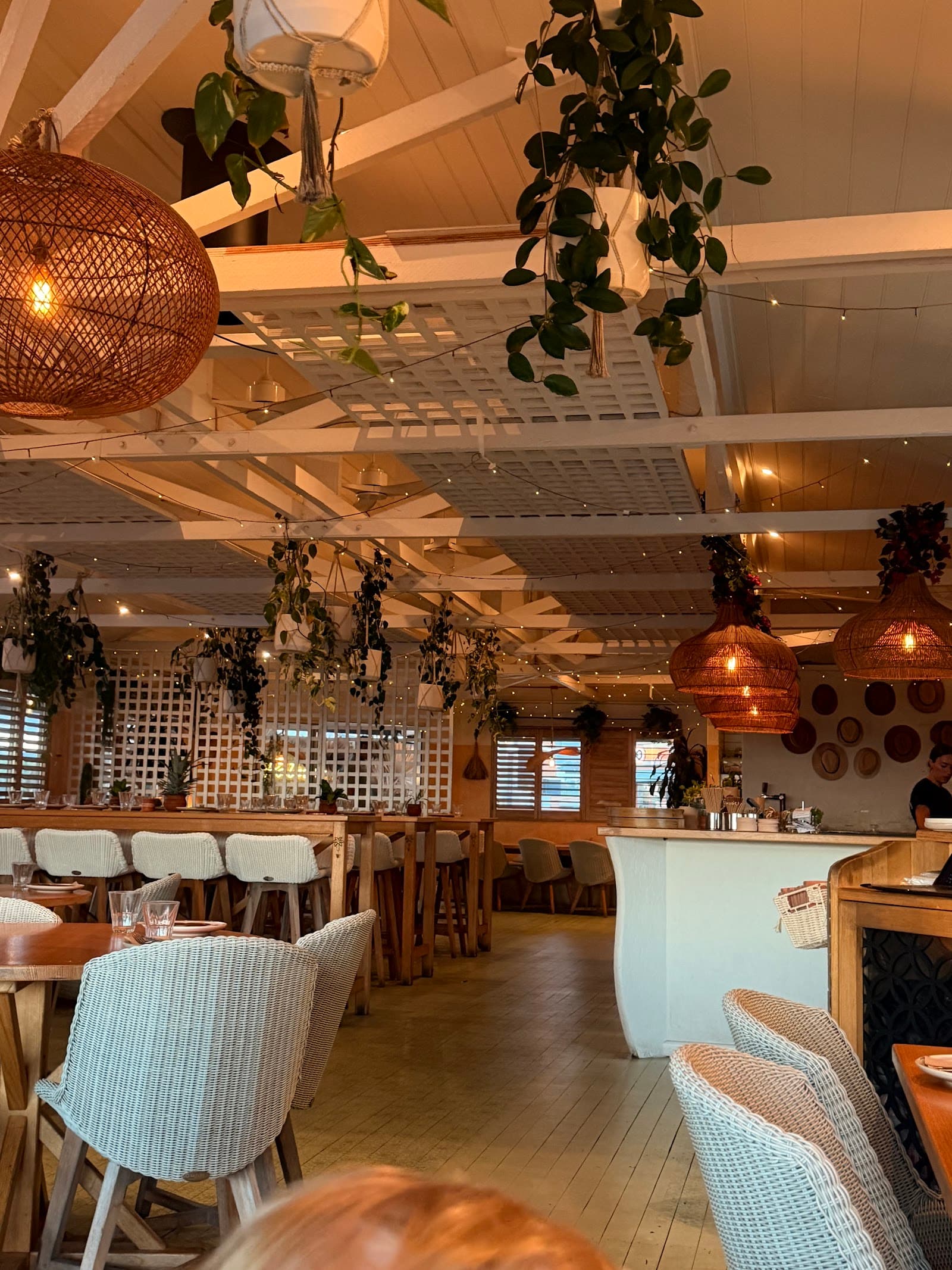 Las Palmas Gold Coast | Latin American Restaurant | Palm Beach — Palm Beach, Gold Coast