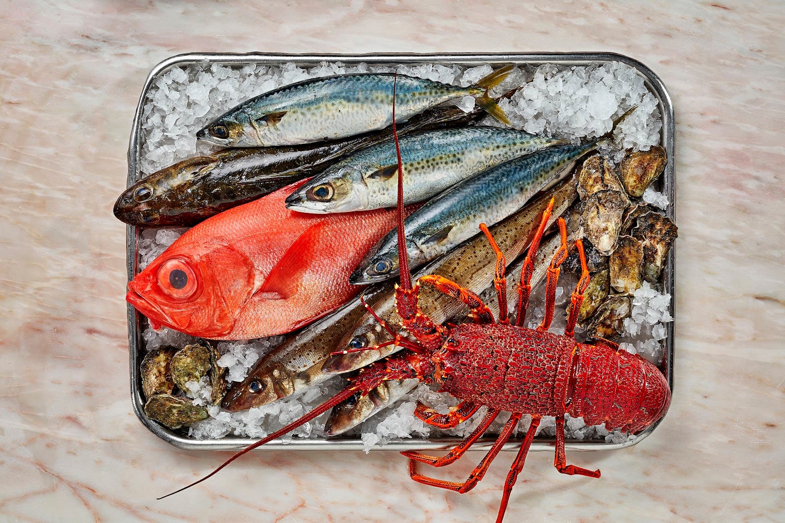 Miami Fish Market — Miami, Gold Coast