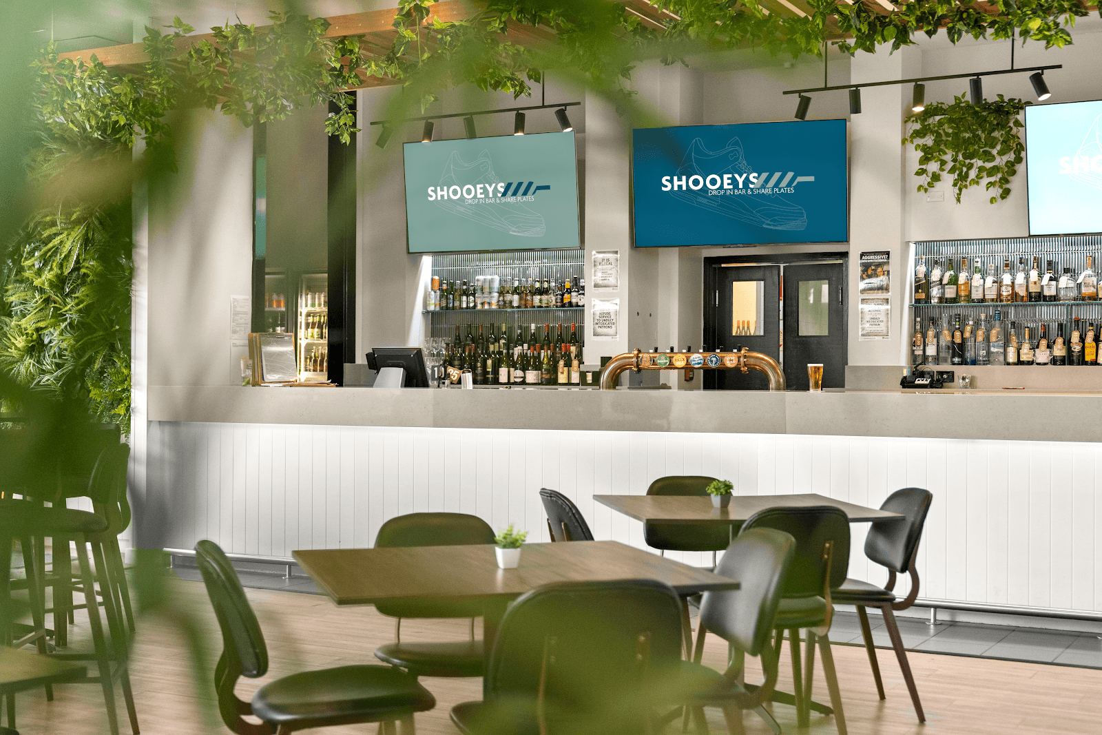 Shooeys — Surfers Paradise, Gold Coast
