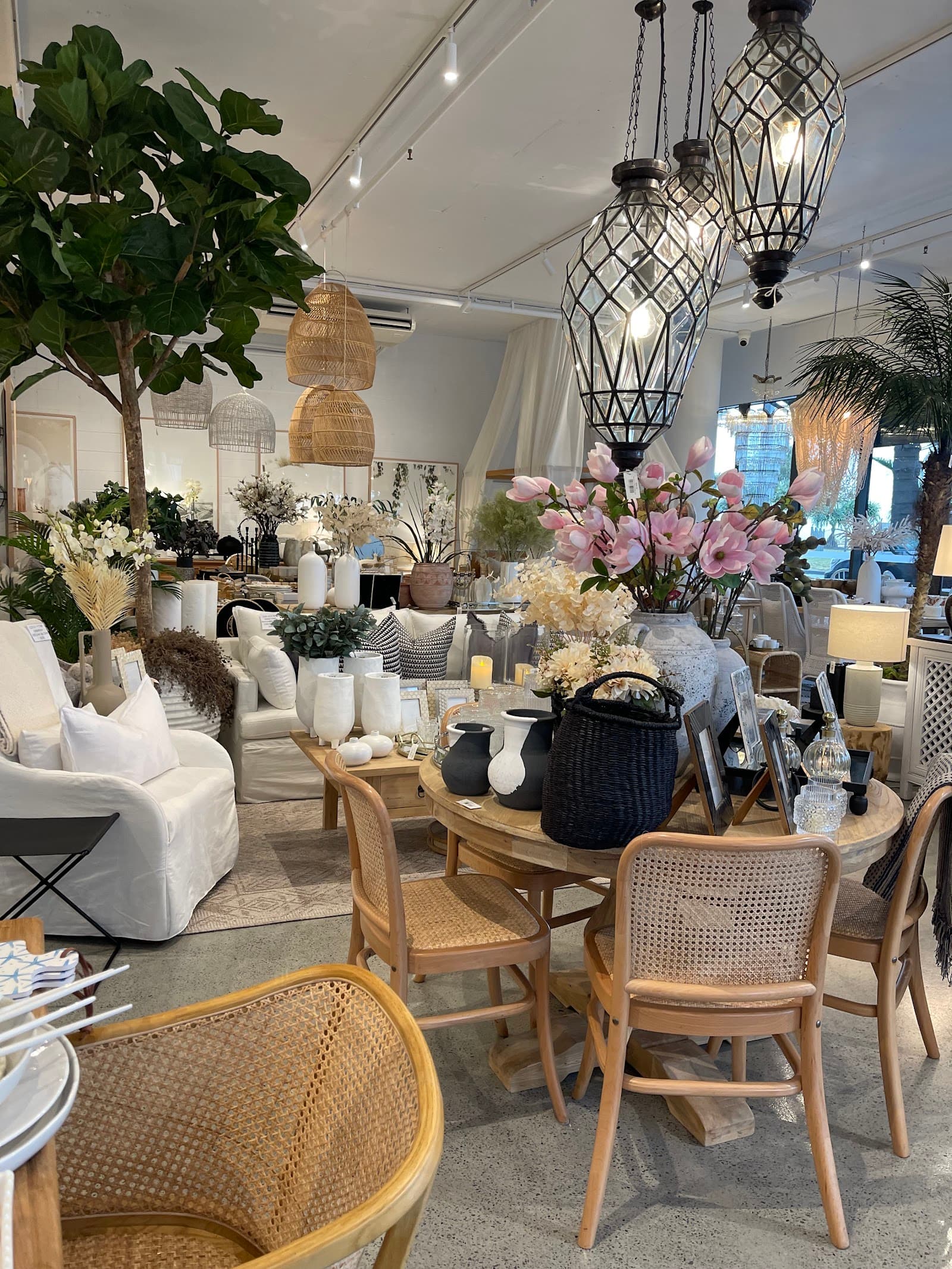 Cotton Living — Coolangatta, Gold Coast