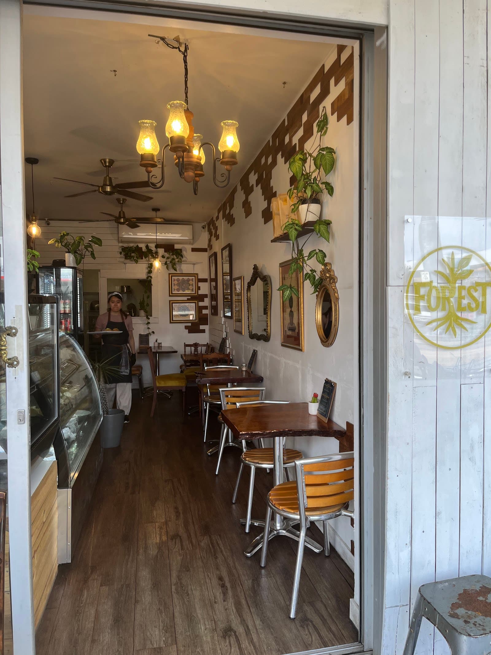 Forest フォレスト — Southport, Gold Coast