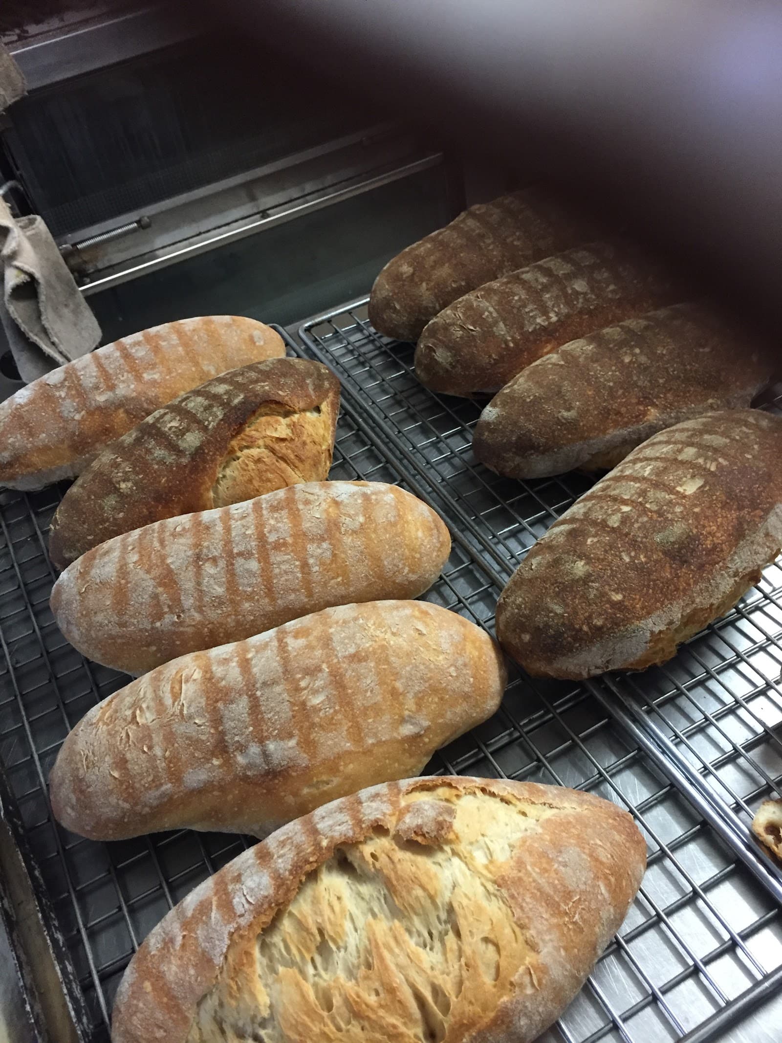 Palm Beach Bakery — Currumbin, Gold Coast