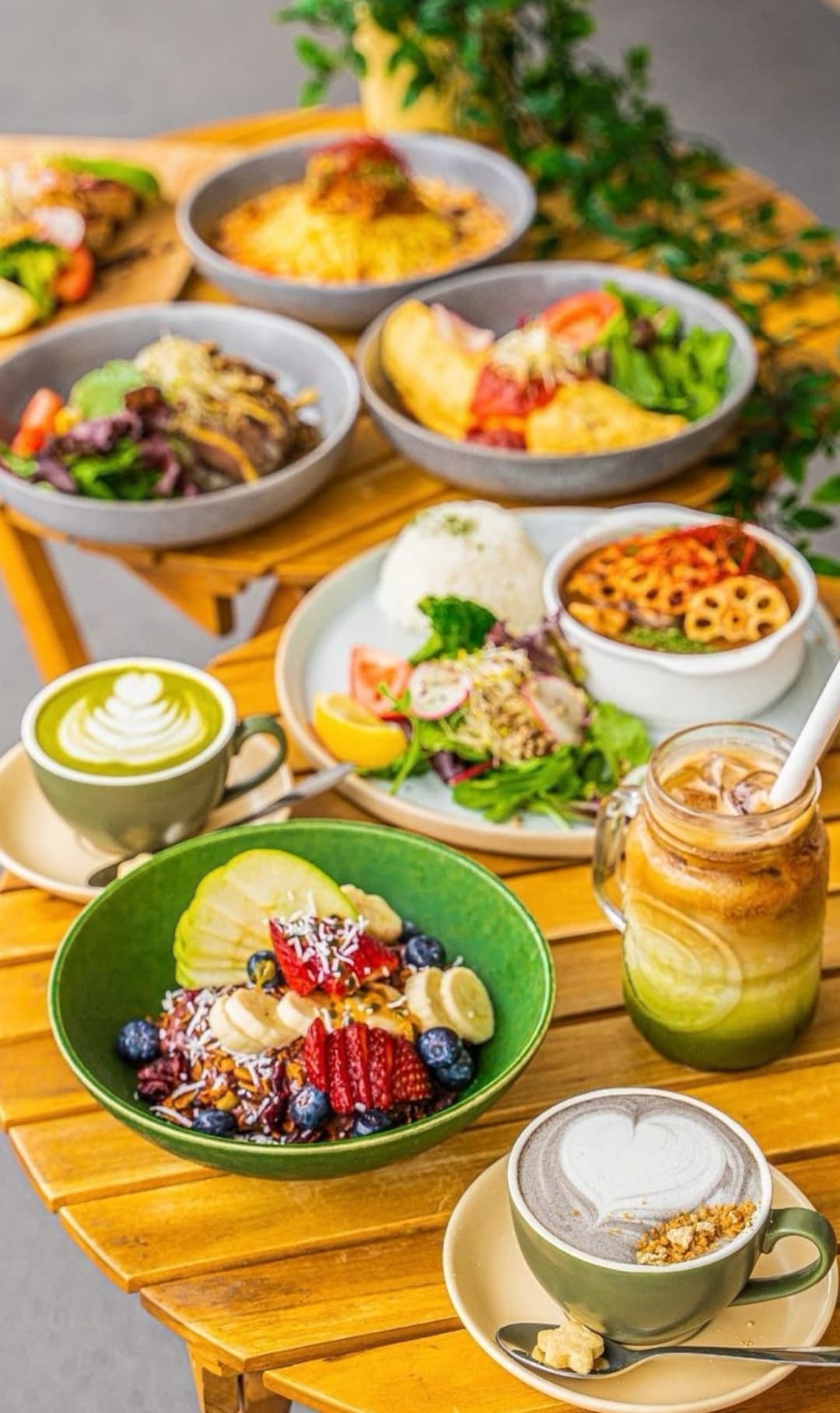 CHANOYU Cafe Nerang – Matcha, Japanese Desserts & Pet-Friendly — Palm Beach, Gold Coast