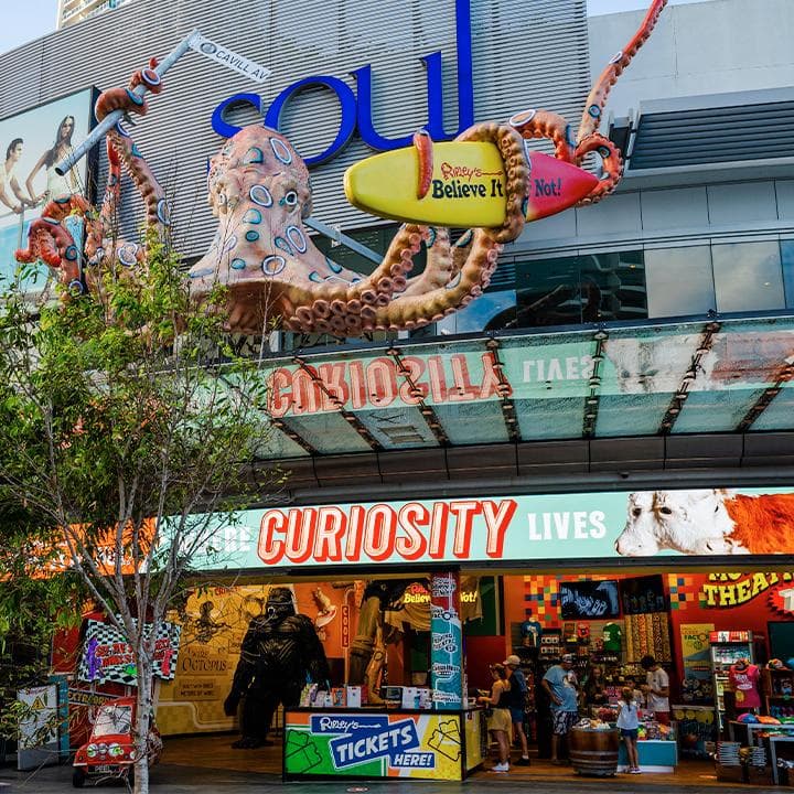 Ripley's Believe It or Not! — Miami, Gold Coast