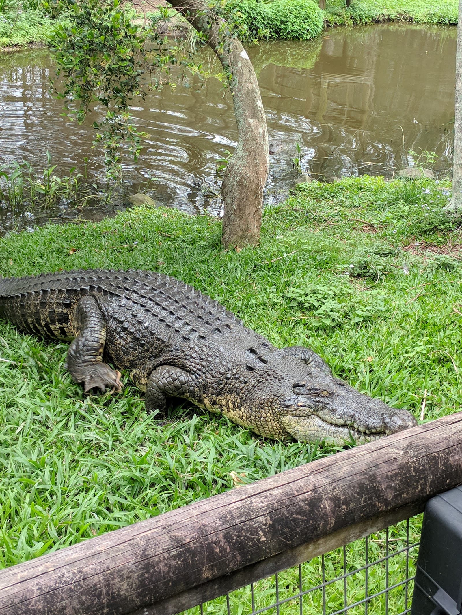 David Fleay Wildlife Park — Palm Beach, Gold Coast
