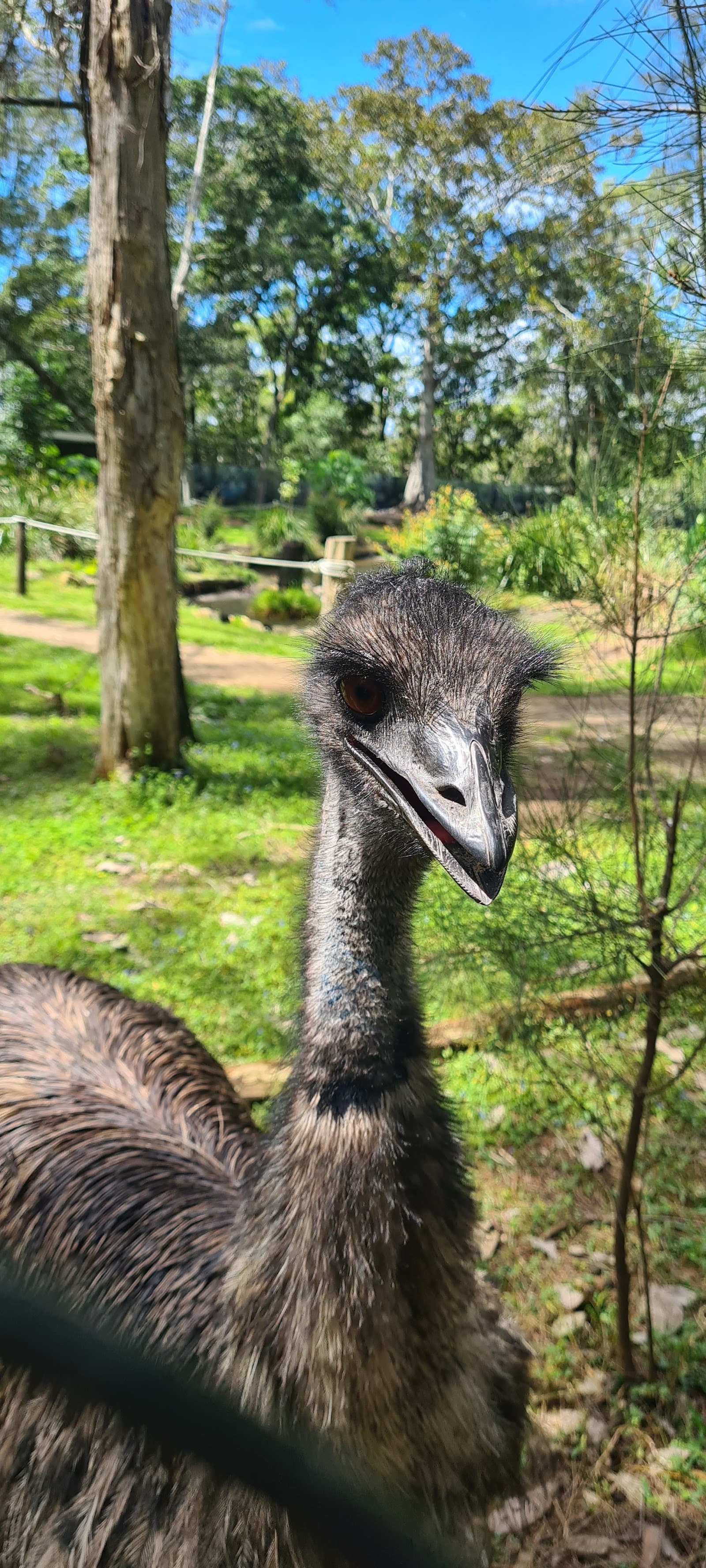 David Fleay Wildlife Park — Palm Beach, Gold Coast