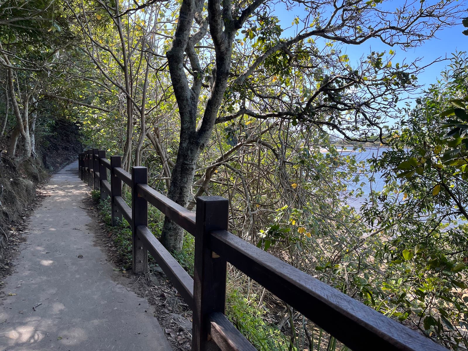 Burleigh Headland — Burleigh Heads, Gold Coast