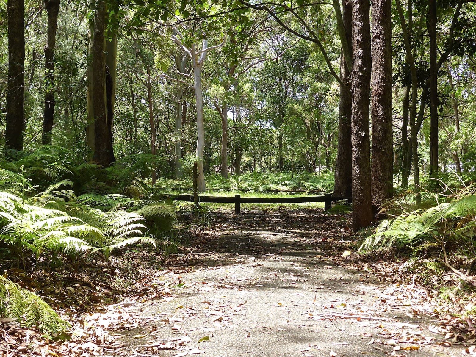 Minjungbal Aboriginal Cultural Centre and Museum — Coolangatta, Gold Coast