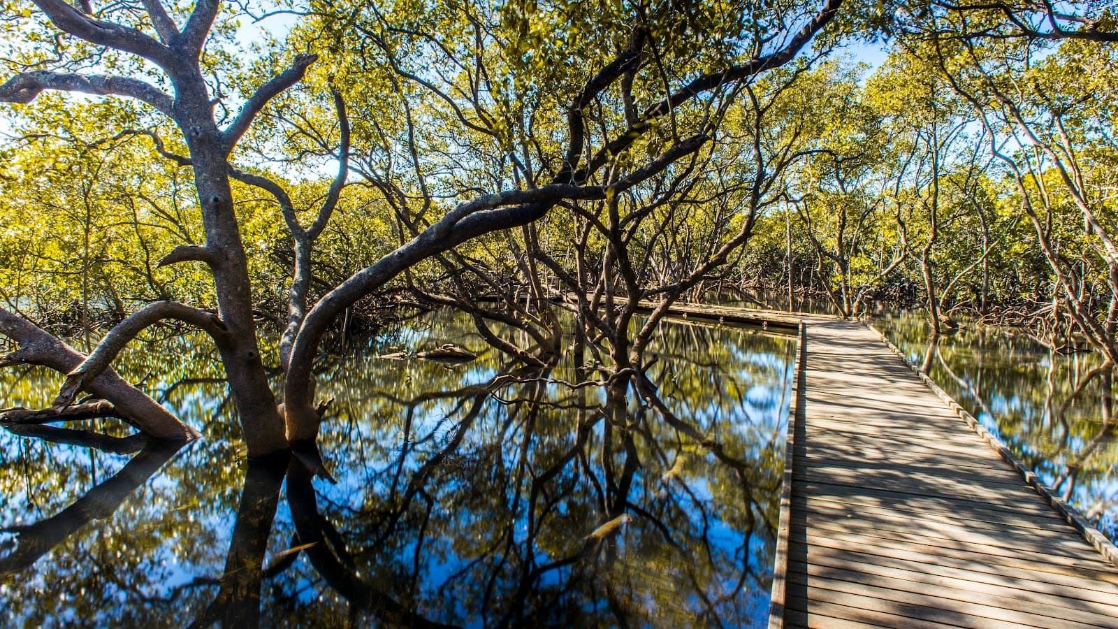 Minjungbal Aboriginal Cultural Centre and Museum — Coolangatta, Gold Coast