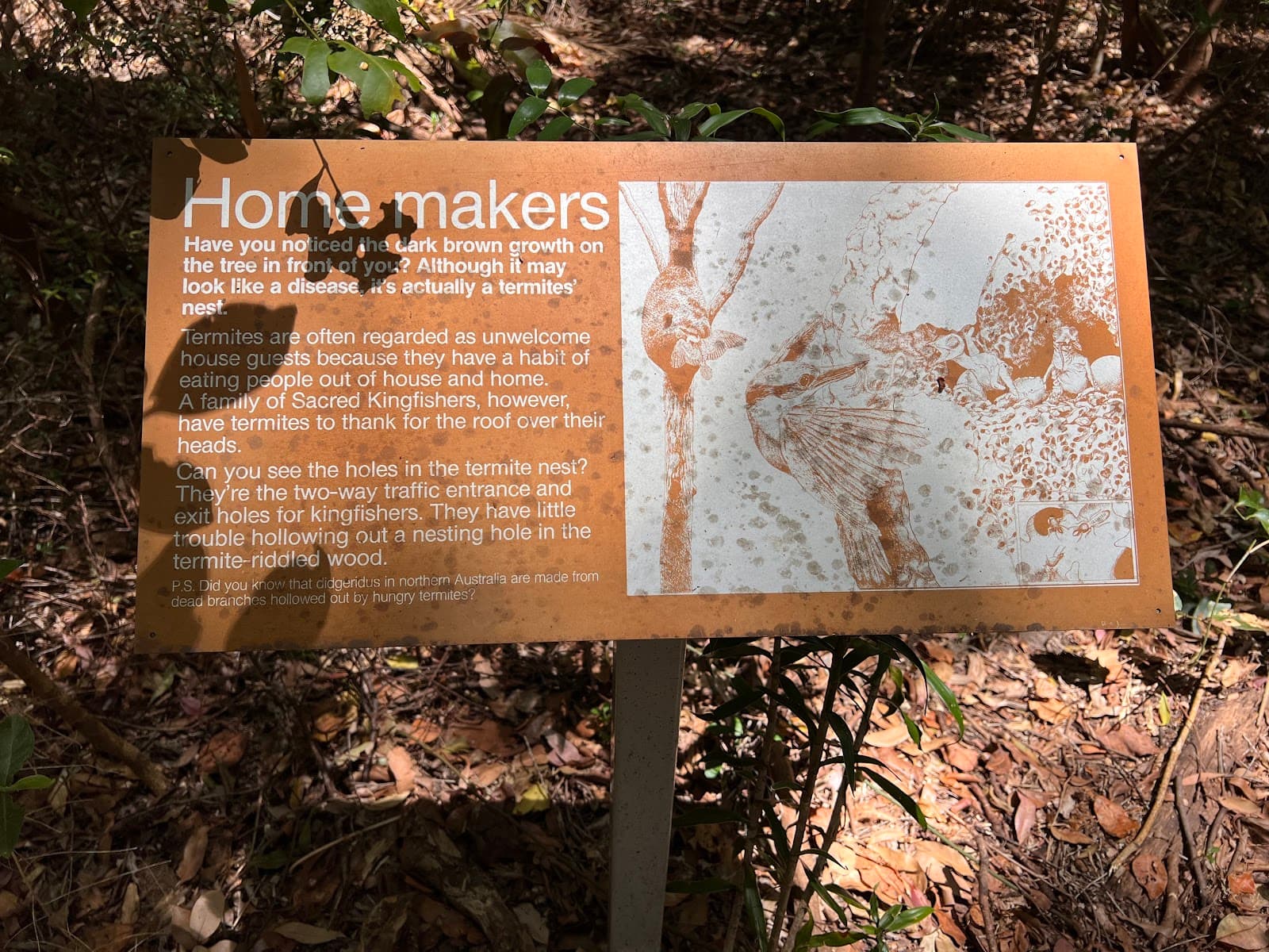 Aboriginal Museum — Coolangatta, Gold Coast