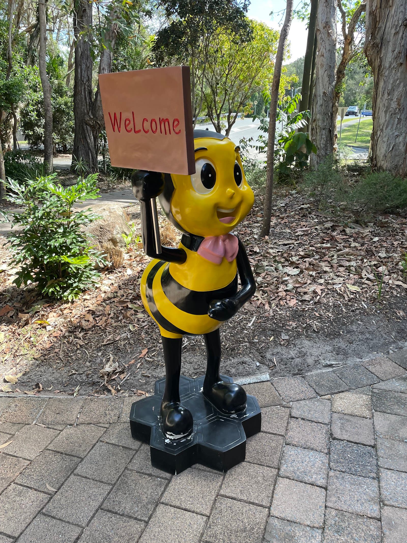 Honeyworld Gold Coast — Currumbin, Gold Coast