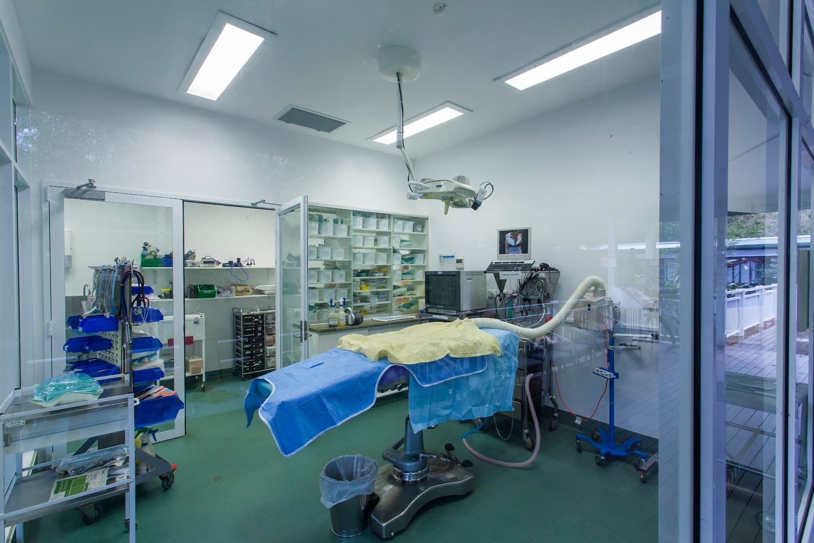 Currumbin Wildlife Hospital — Currumbin, Gold Coast
