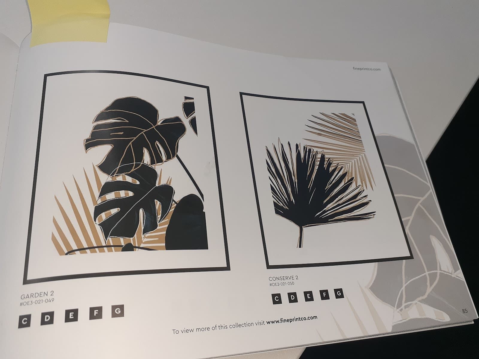 Corporate Art - Art for Hotels and Projects — Palm Beach, Gold Coast