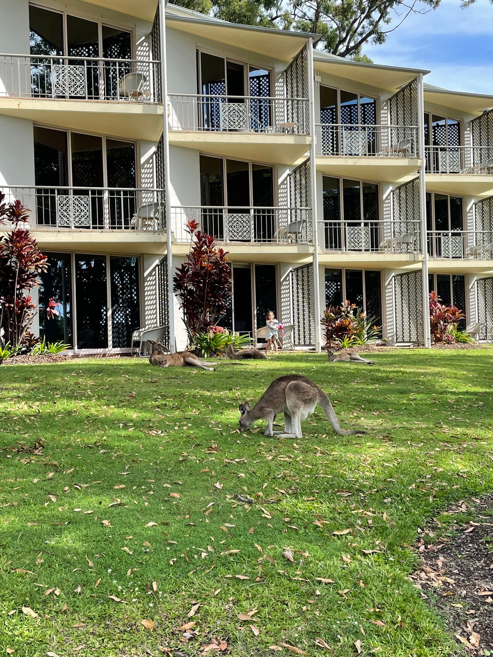 Hope Island Resort — Hope Island, Gold Coast