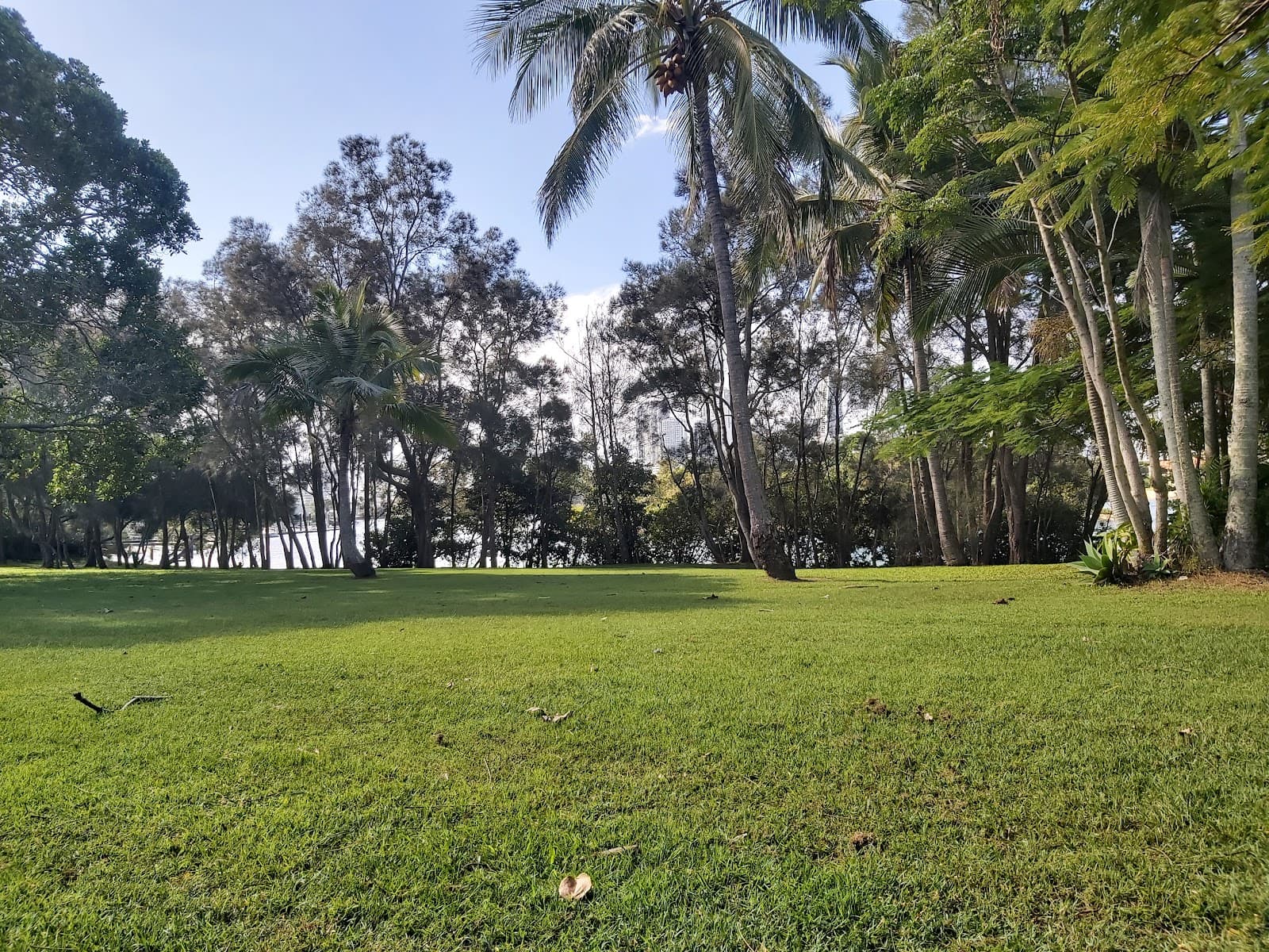 Franquin Park — Surfers Paradise, Gold Coast