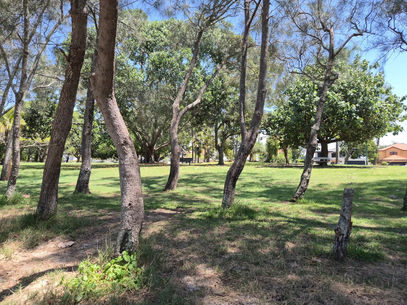 Franquin Park — Surfers Paradise, Gold Coast