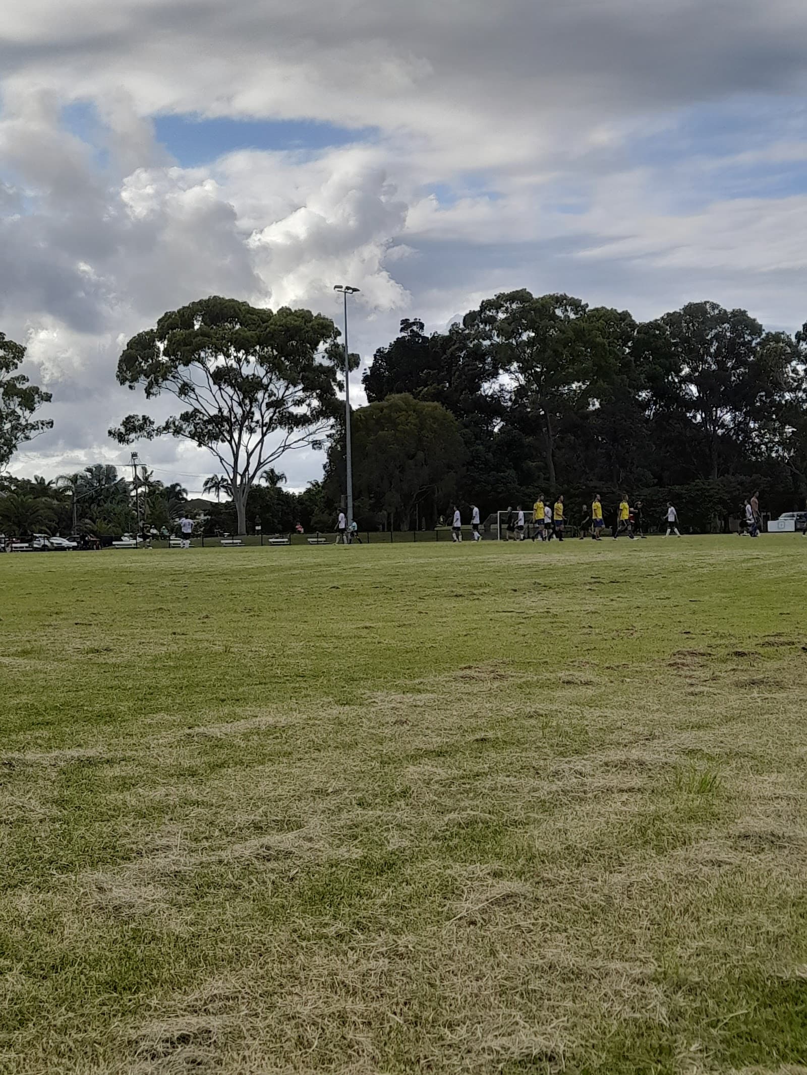 Lex Bell Park — Surfers Paradise, Gold Coast