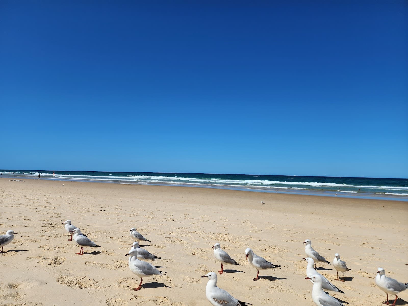 Narrowneck Park — Main Beach, Gold Coast