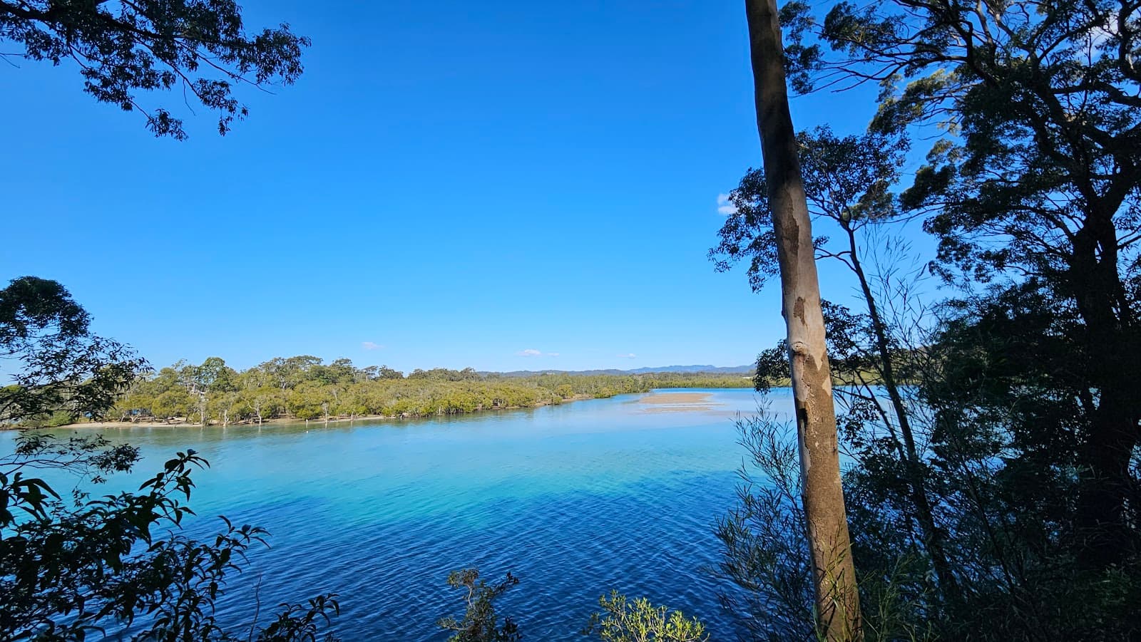 Tallebudgera Creek Conservation Park — Palm Beach, Gold Coast