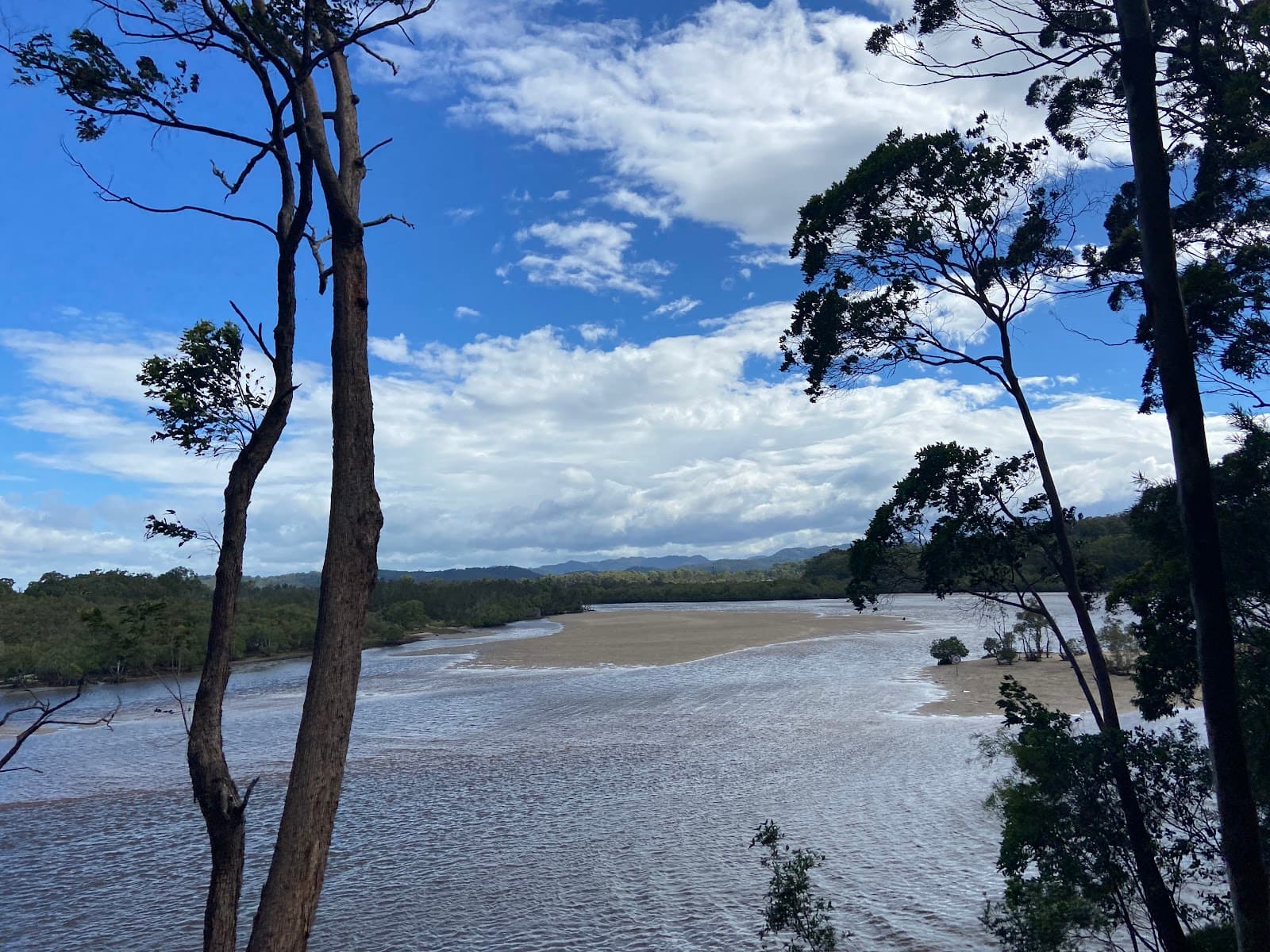 Tallebudgera Creek Conservation Park — Palm Beach, Gold Coast