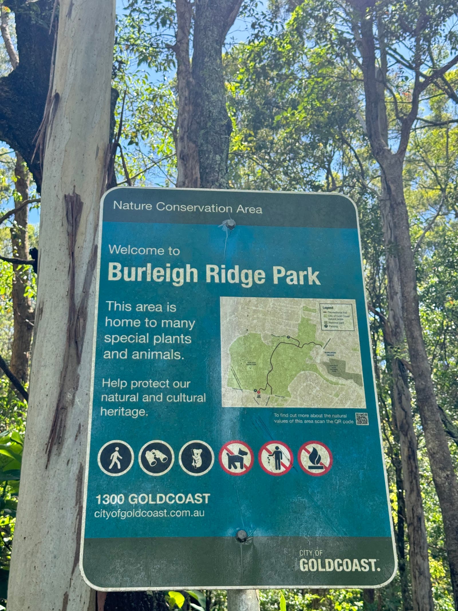 Burleigh Ridge Park — Burleigh Heads, Gold Coast
