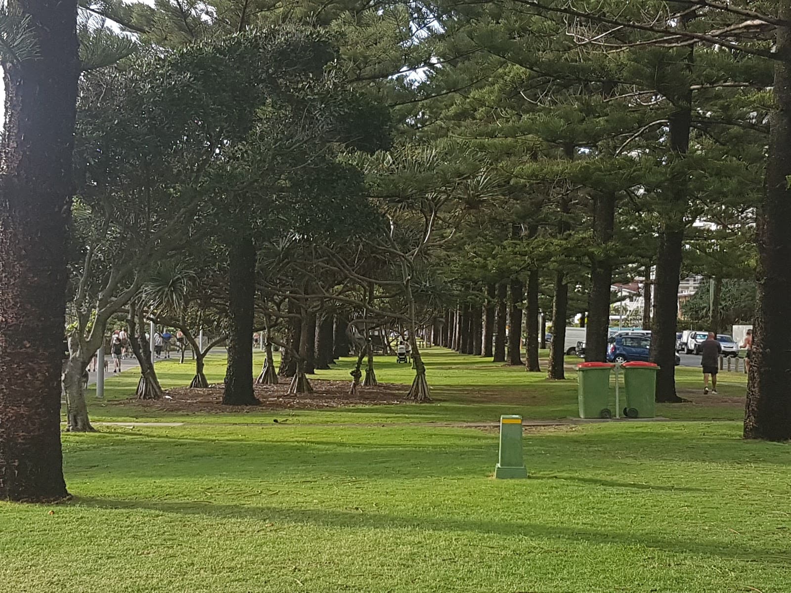 Reg Chesters Park — Burleigh Heads, Gold Coast