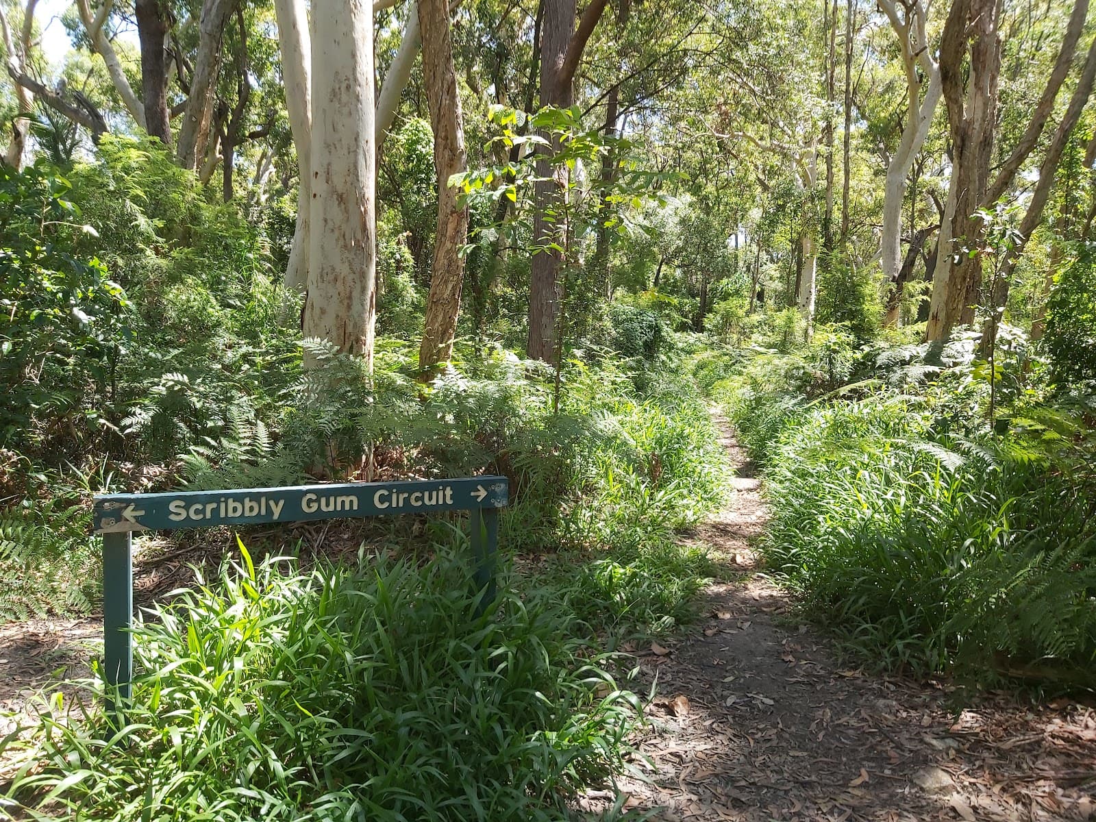 Burleigh Knoll Conservation Park — Miami, Gold Coast