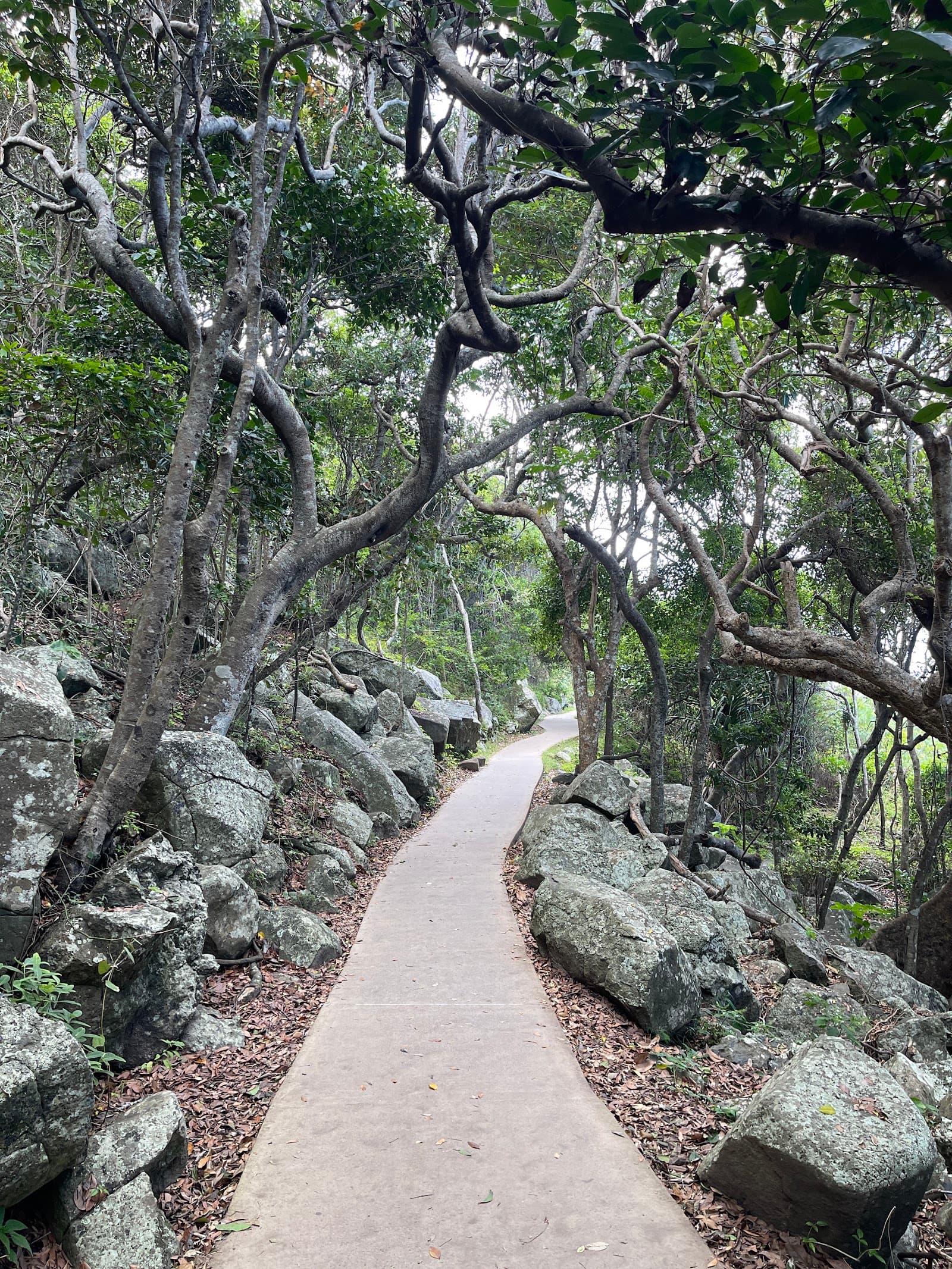 Oceanview Track — Burleigh Heads, Gold Coast
