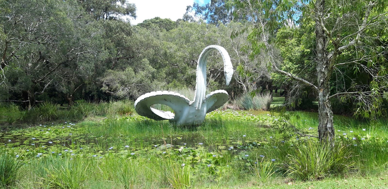 Musgrave Park — Southport, Gold Coast