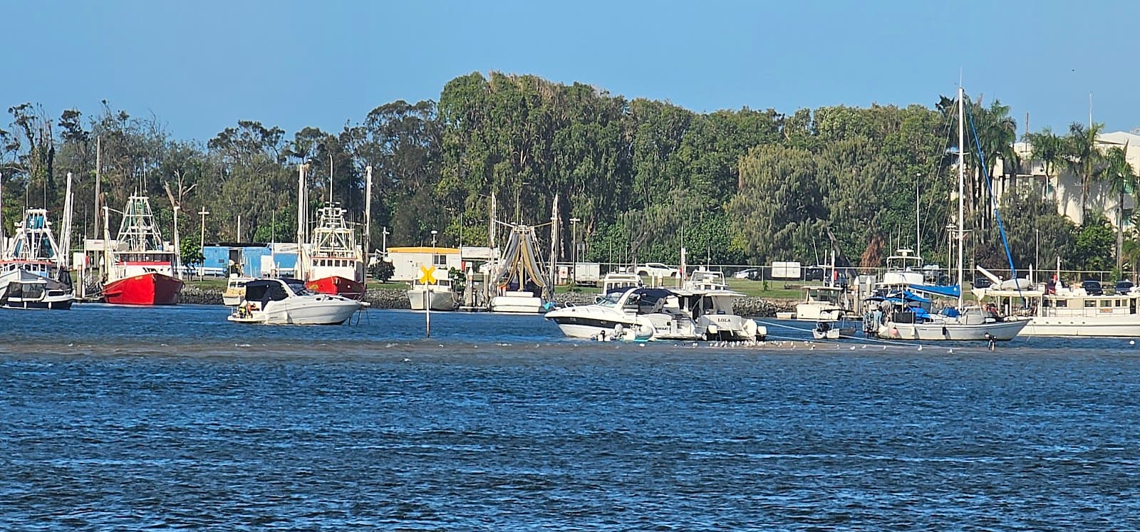 Thams Family Park (now Broadwater Parklands) — Southport, Gold Coast