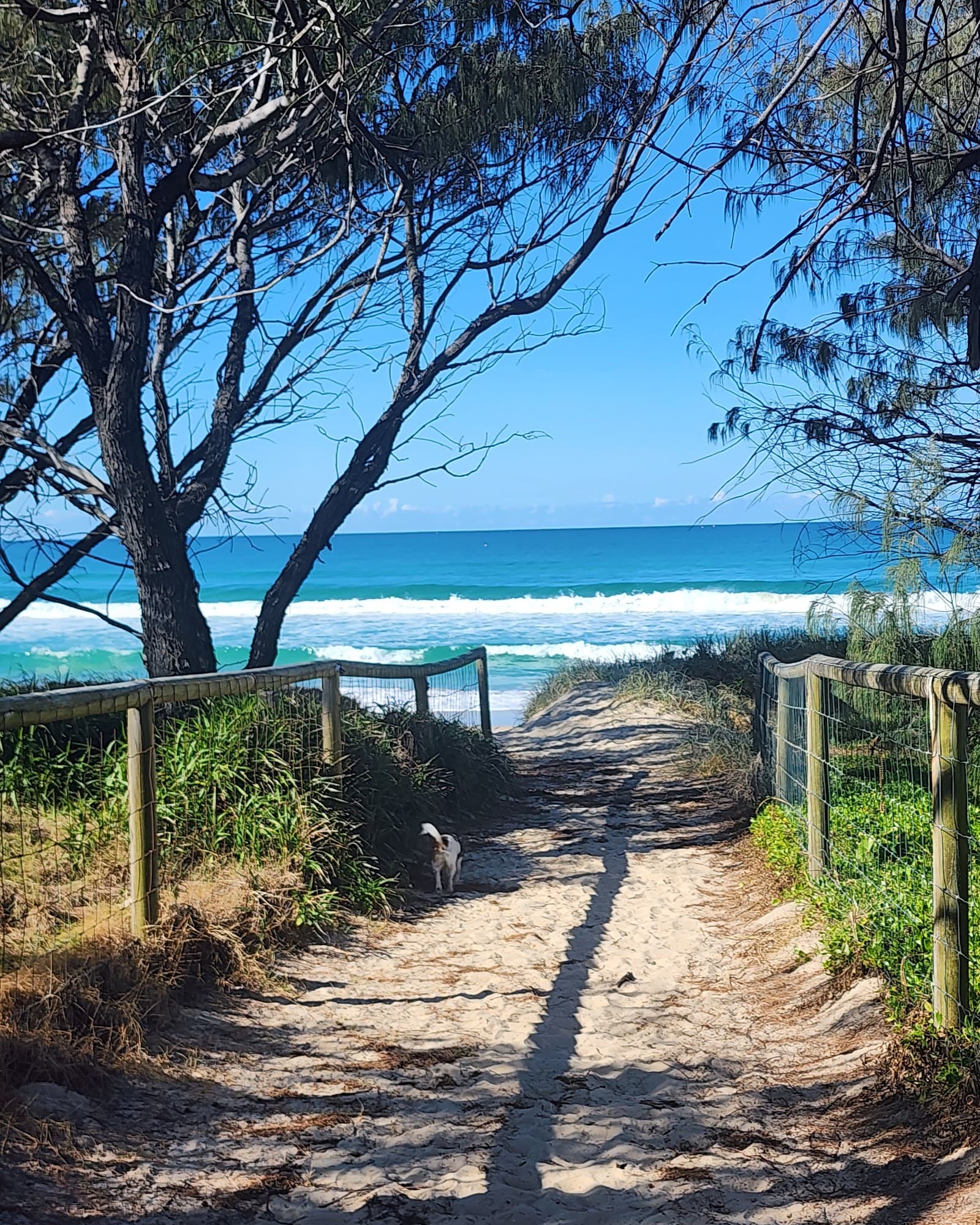 Philip Park — Main Beach, Gold Coast