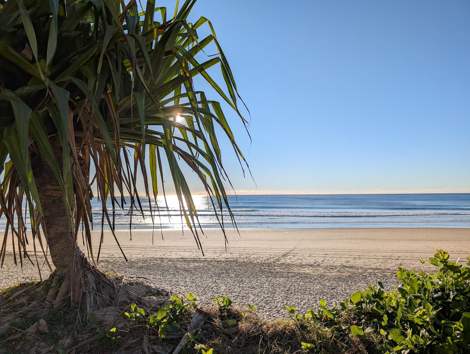 Main Beach Playground — Main Beach, Gold Coast