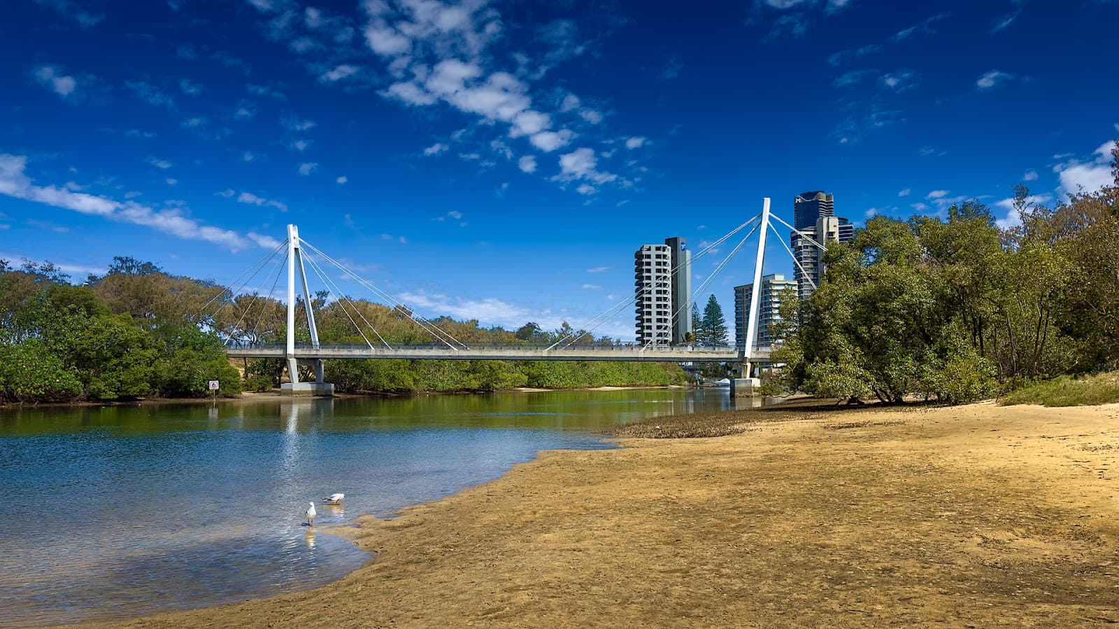 Bridge — Main Beach, Gold Coast